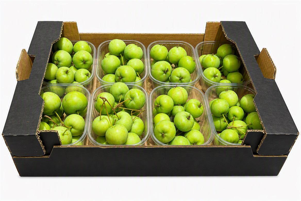Sier Malusappel Groen Plat X8