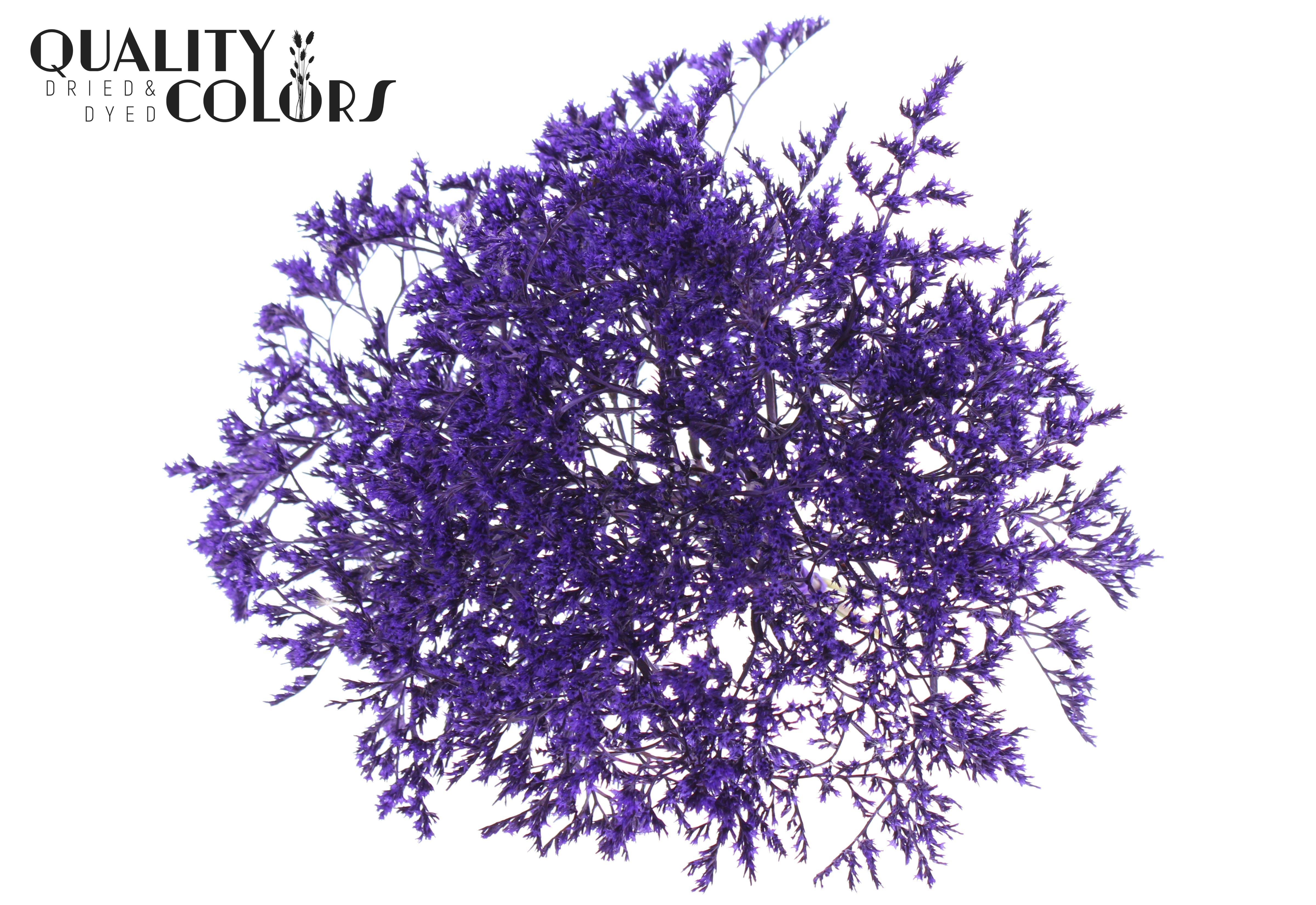 Limonium Tataricum Purple Per Bunch 30cm 45gr.