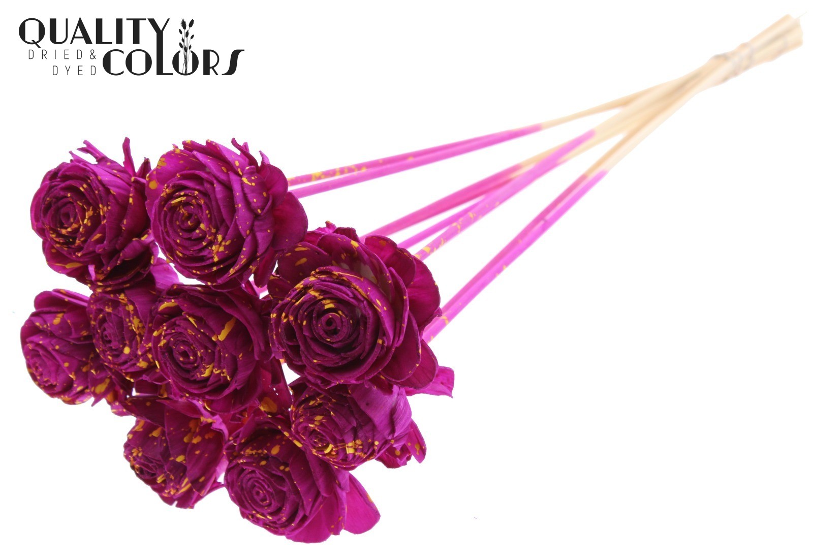 Shola Beauty Rose Splashed Lilac Yellow 50cm