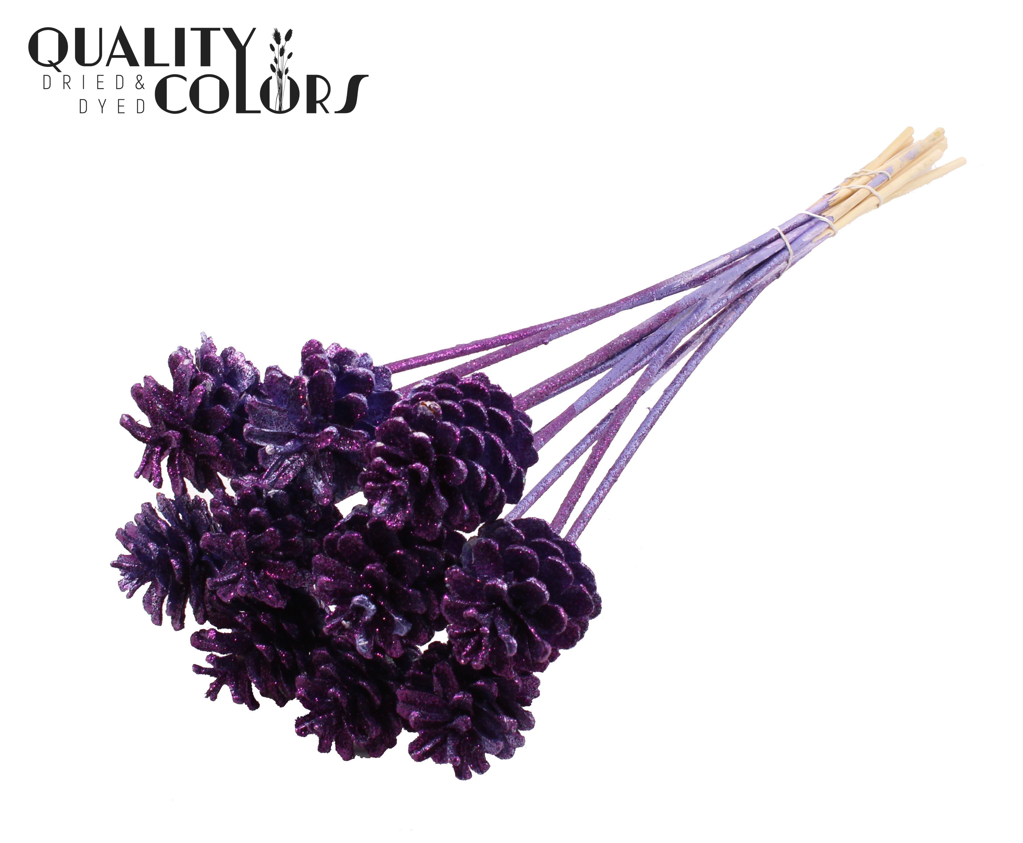 Pine Cone Metallic Purple + Glitter 60cm