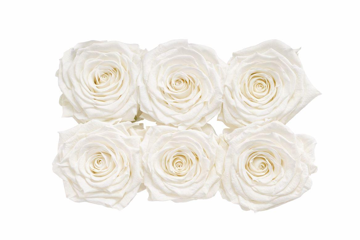 Ro Pres Classic Ivory