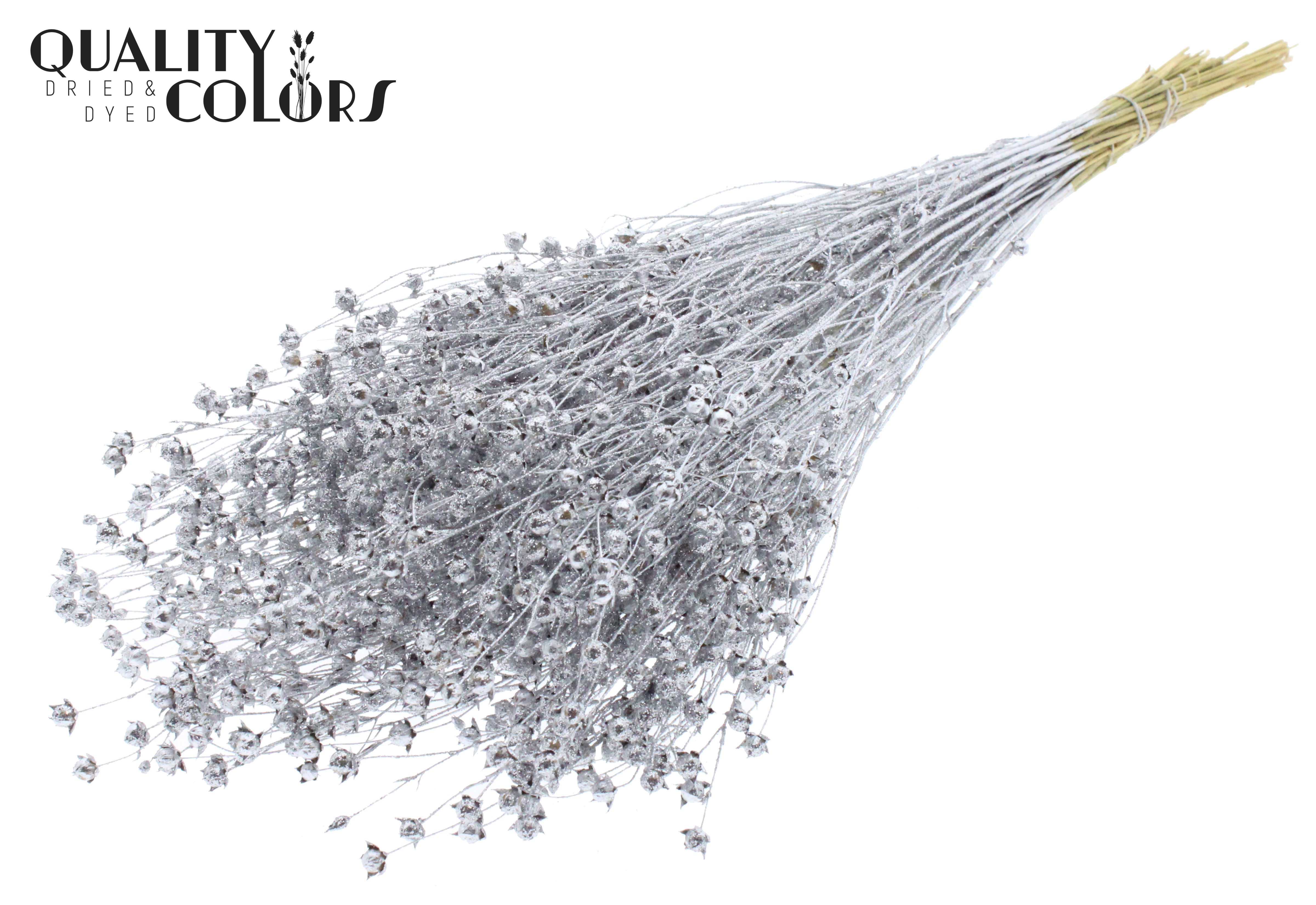 Lino Flax Silver + Glitter Per Bunch 60cm