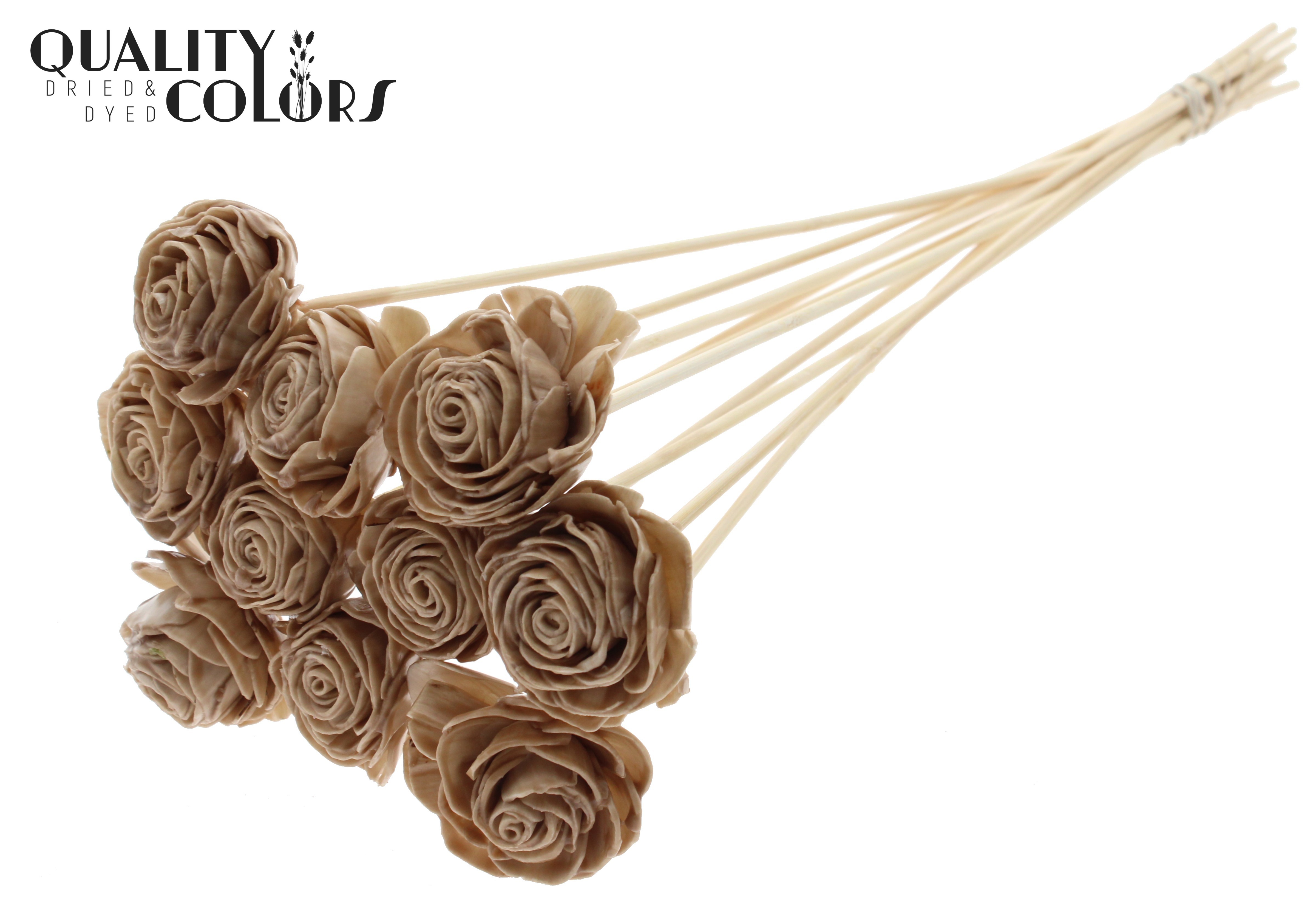 Shola Beauty Rose Wax Beige 50cm