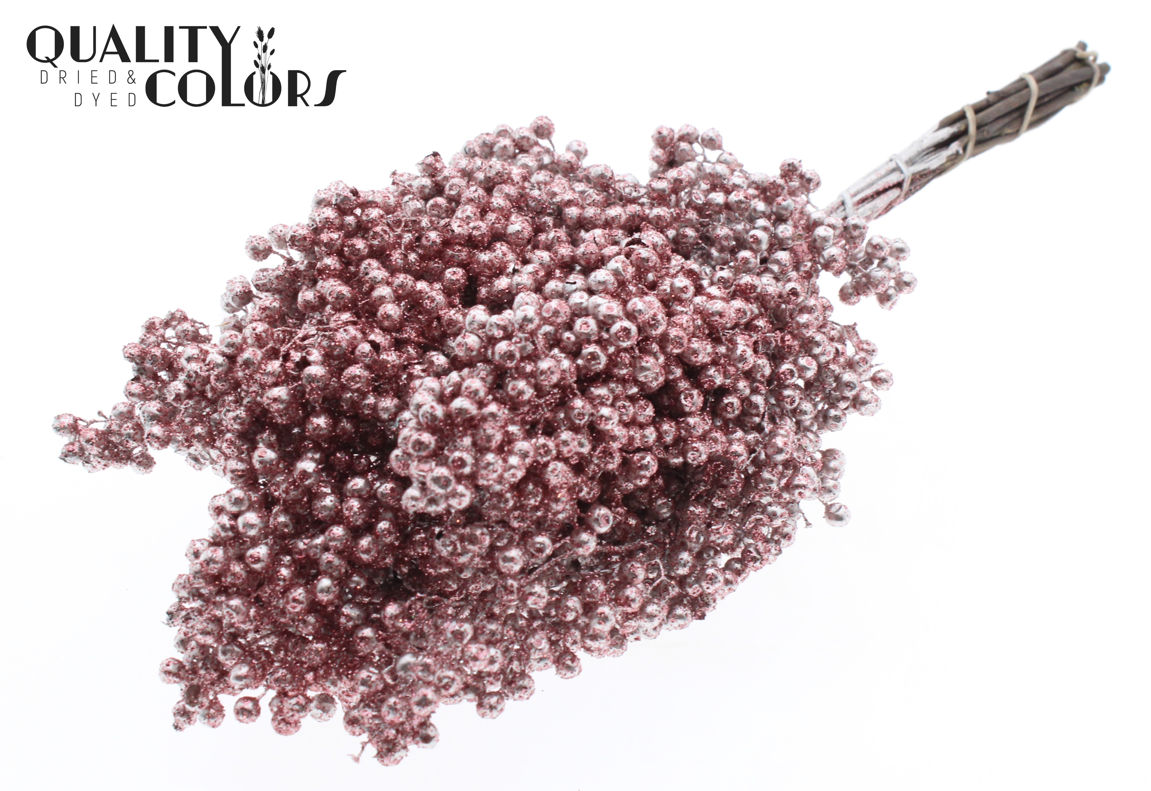 Schinus Mollis Champagne + Glitter Per Bunch