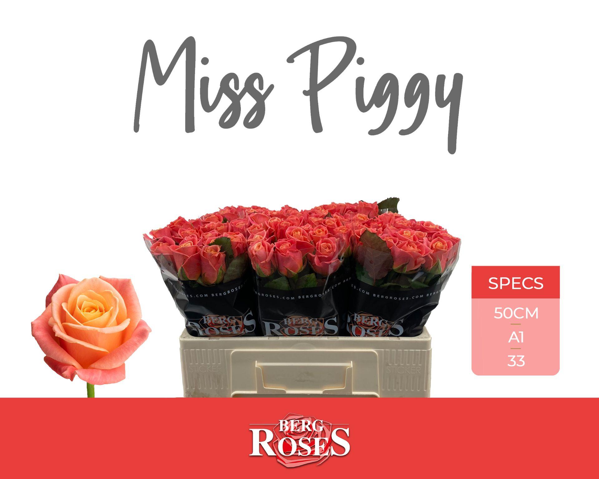 Rosa Miss Piggy 50cm