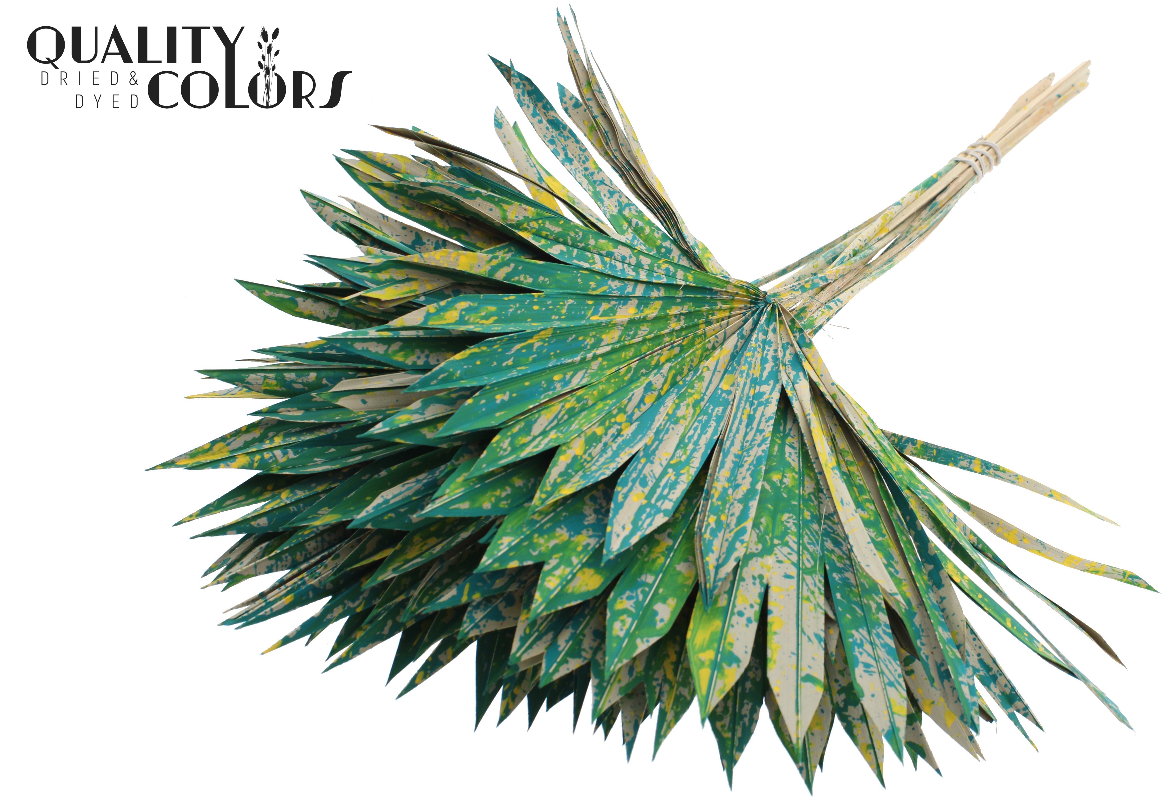 Palm Sun Multicolour Green 50cm
