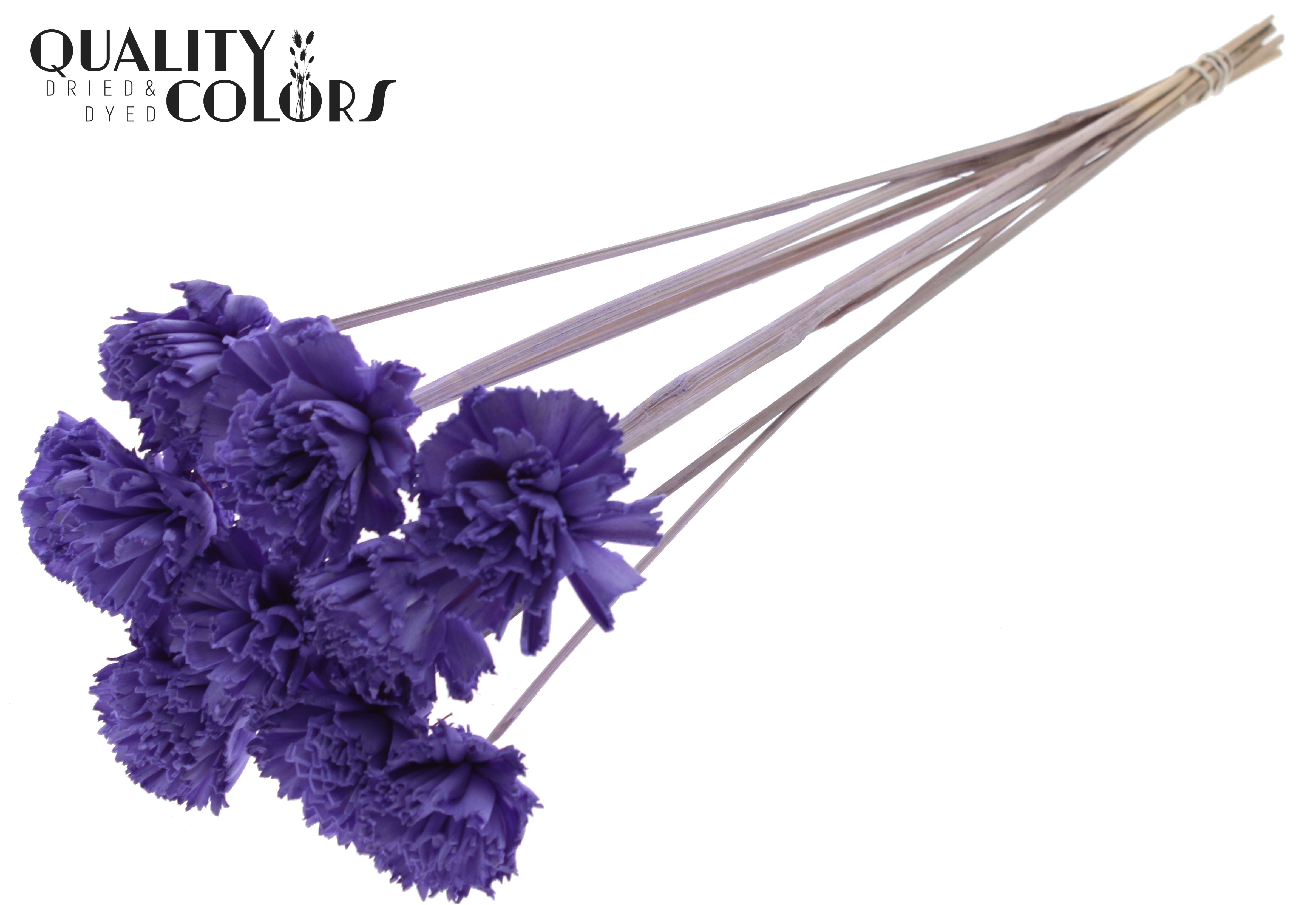Shola Karnish Flower Milka 50cm