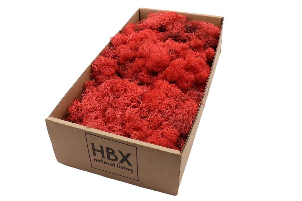 Moss Reindeer Moss 500gr Red