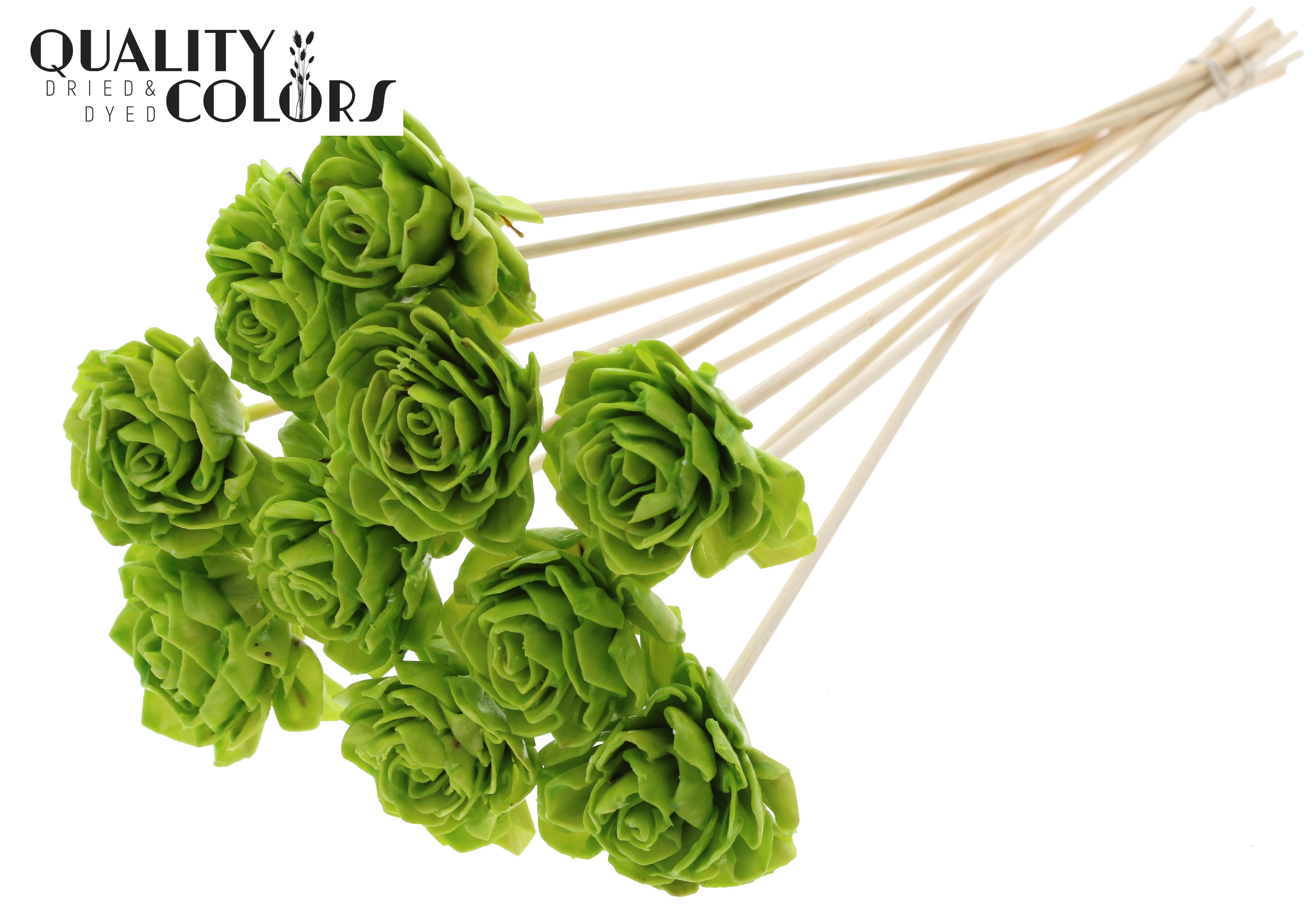 Shola Dhaliya Wax Light Green 50cm