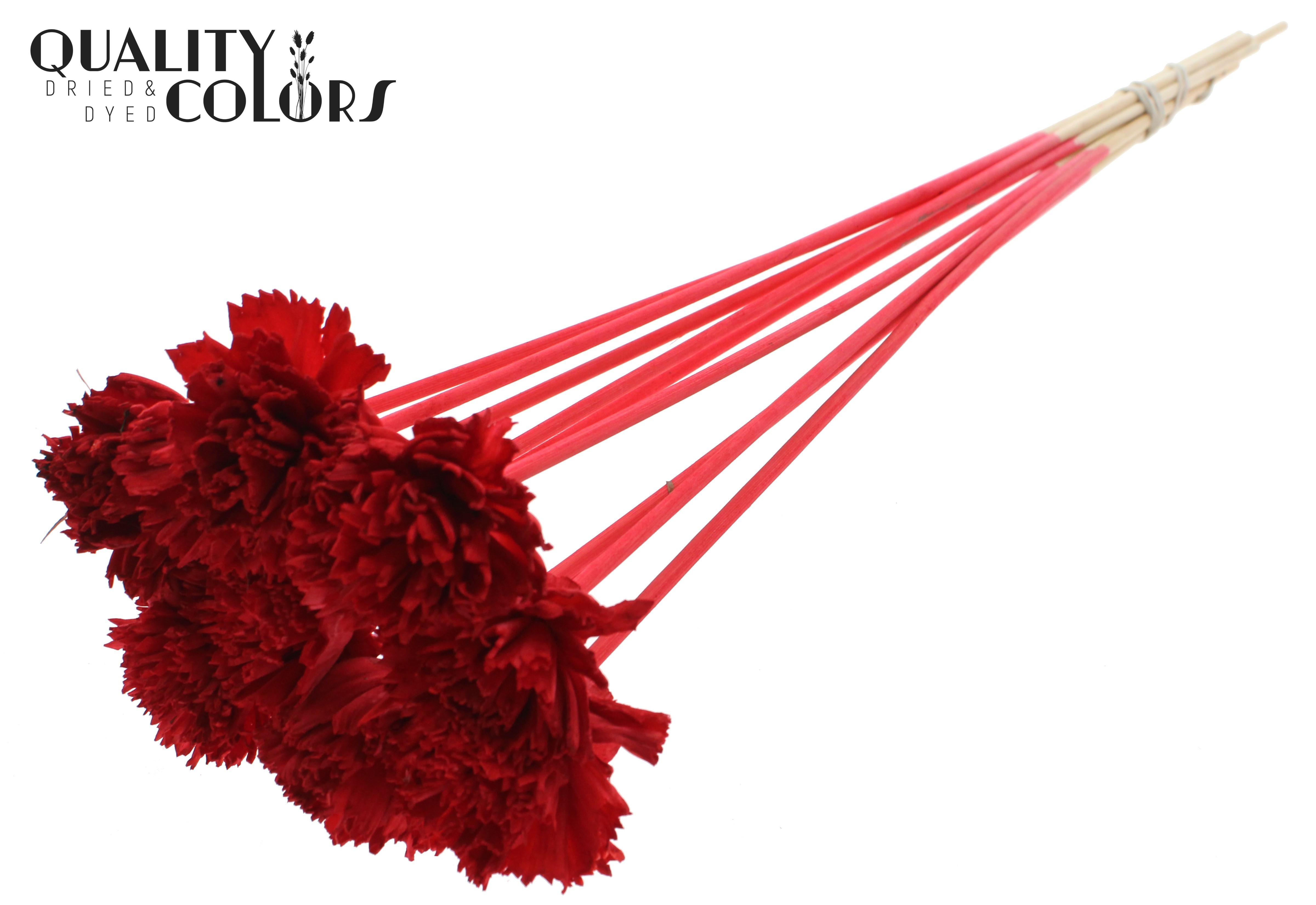 Shola Karnish Flower Red 50cm