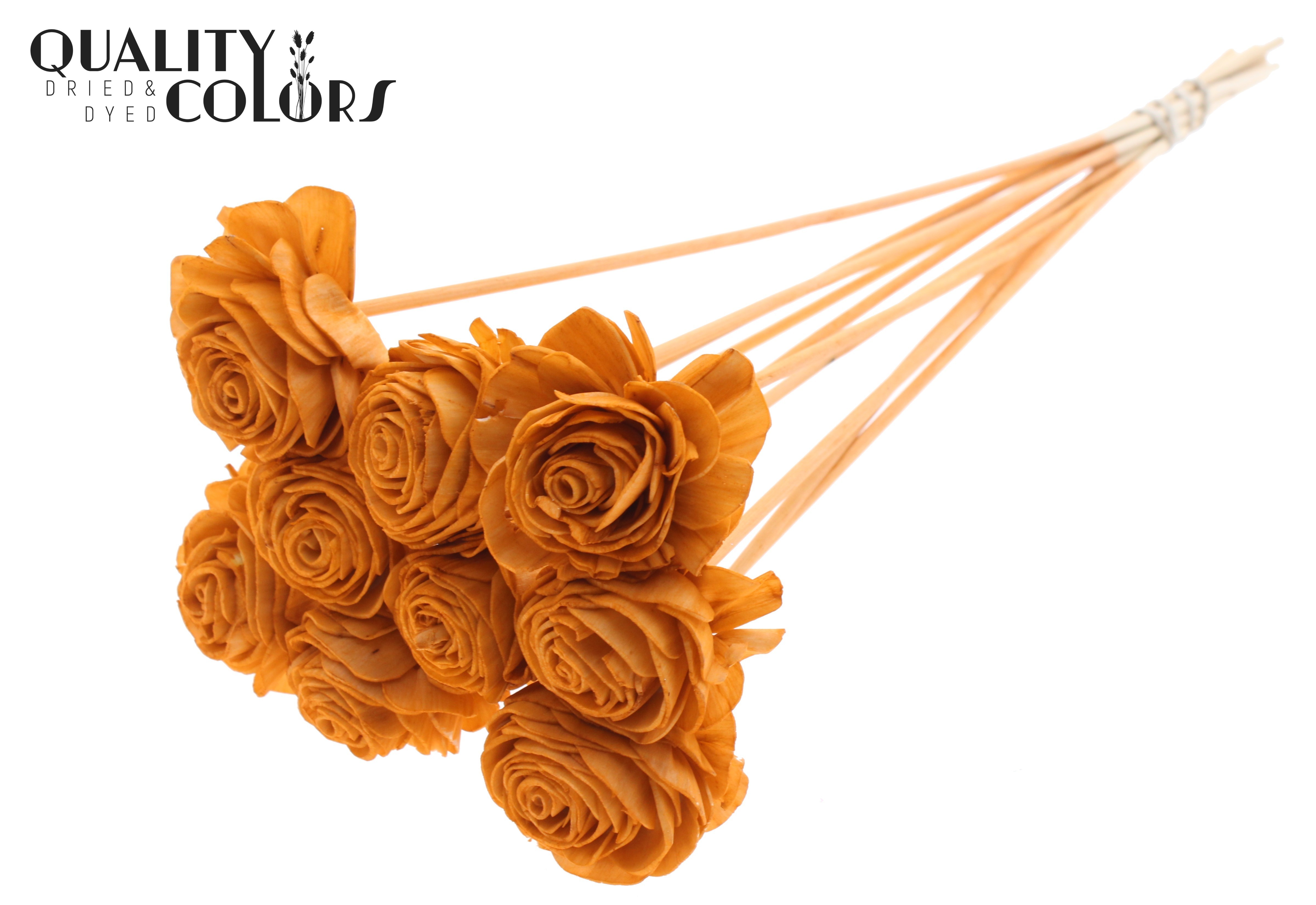 Shola Beauty Rose Terracotta 50cm