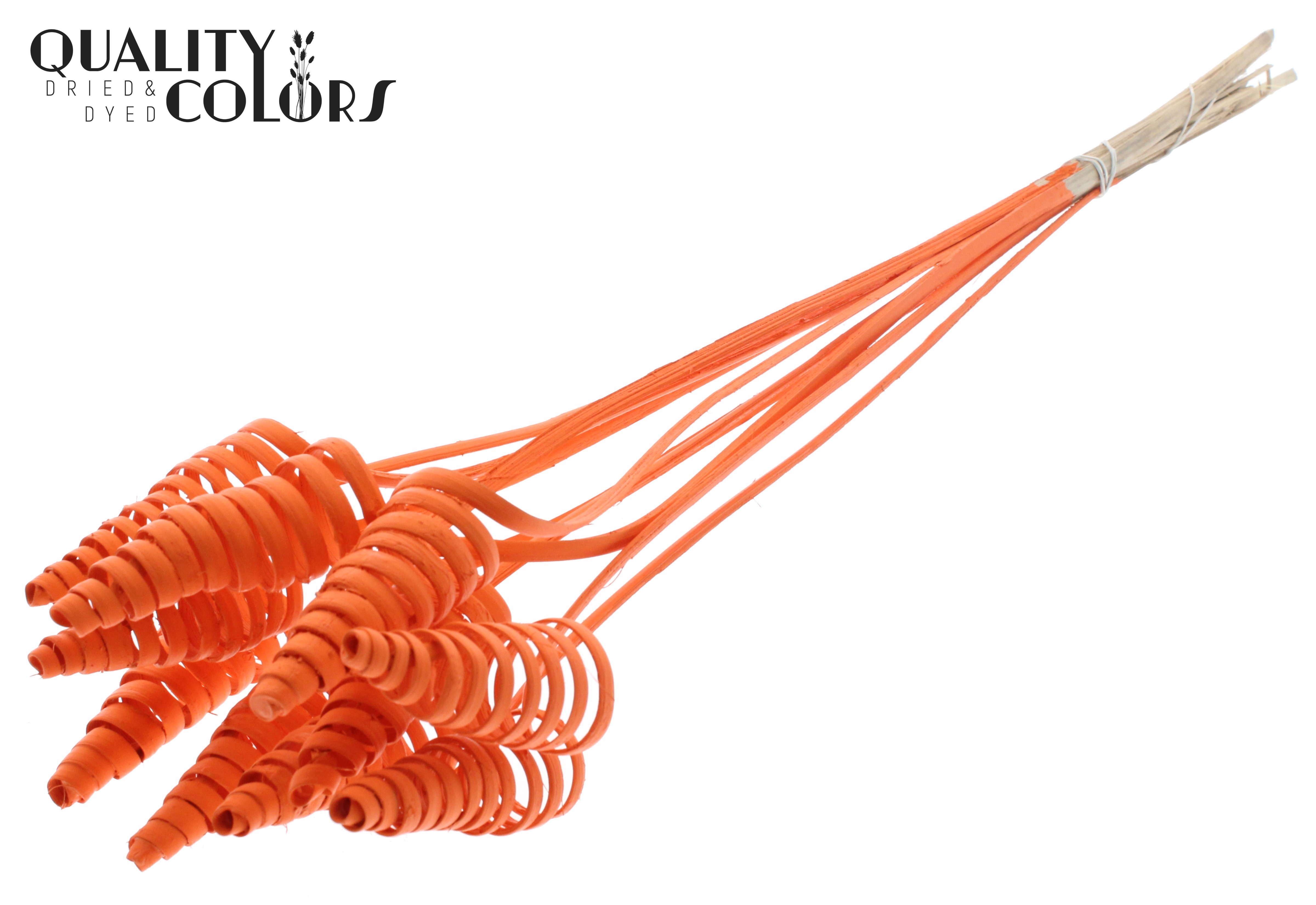 Cane Cone Orange 50cm