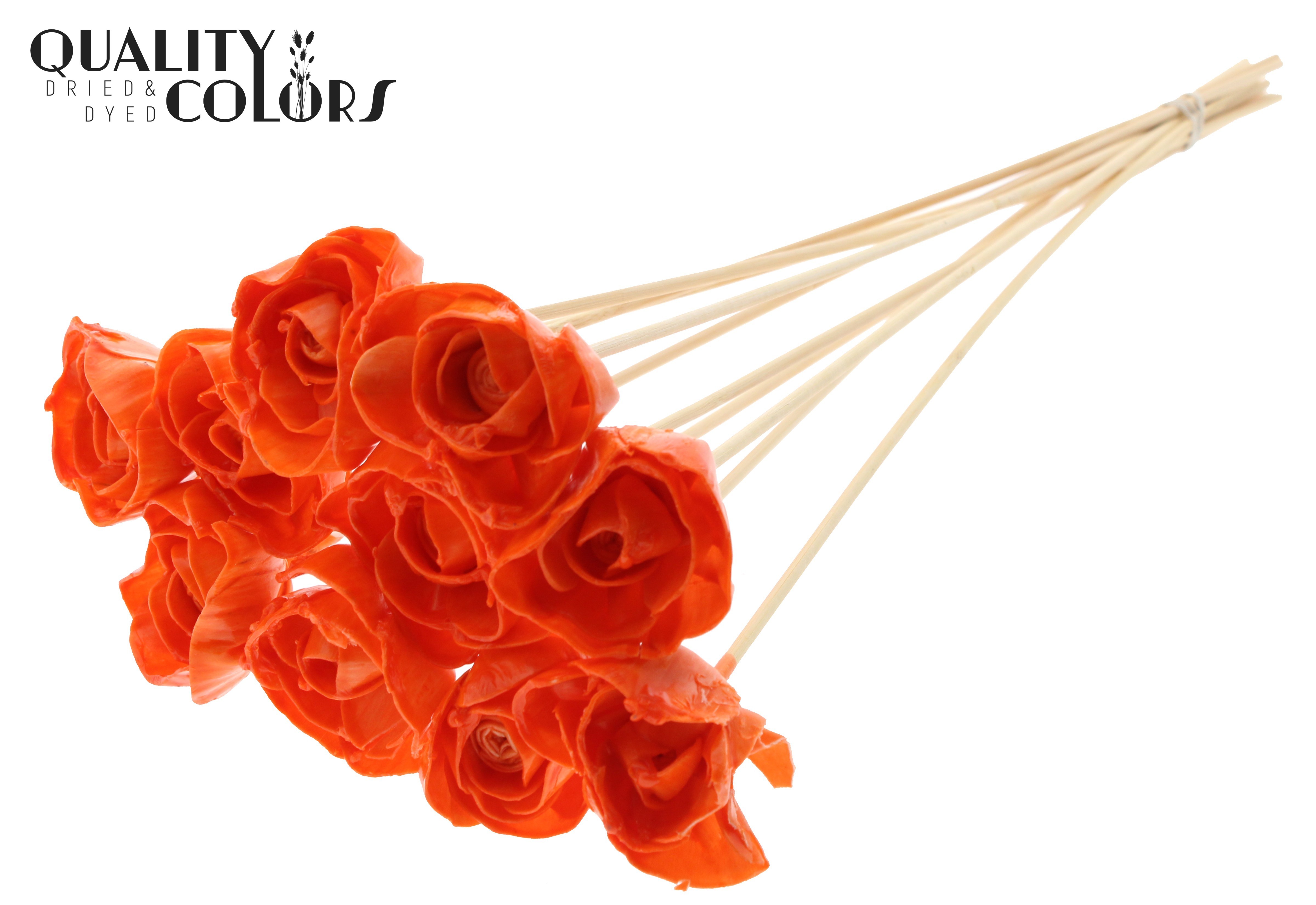 Shola Dear Holly Wax Orange 50cm