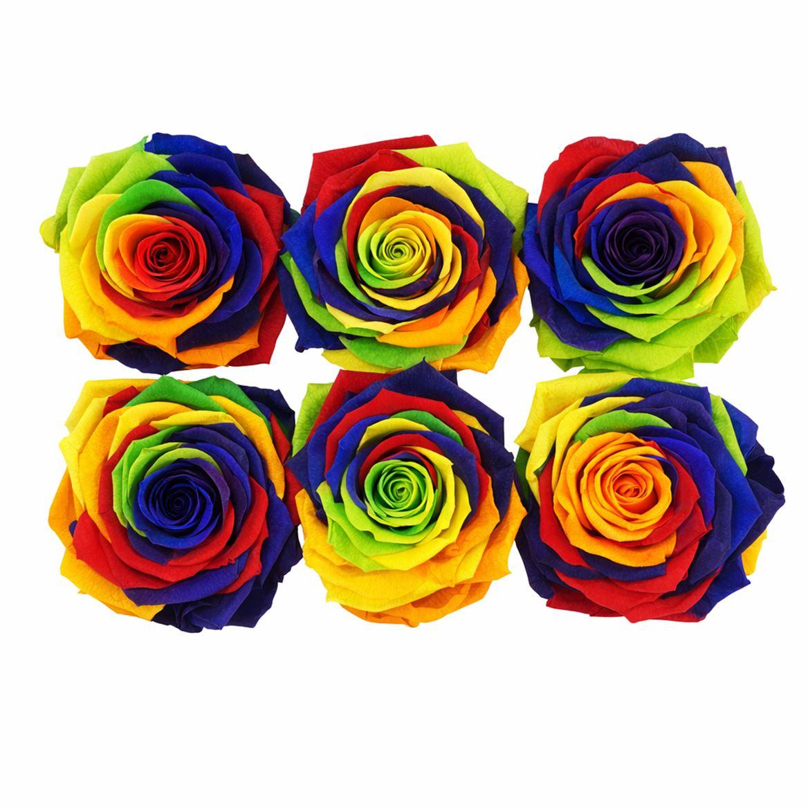 Ro Pres Classic Rainbow