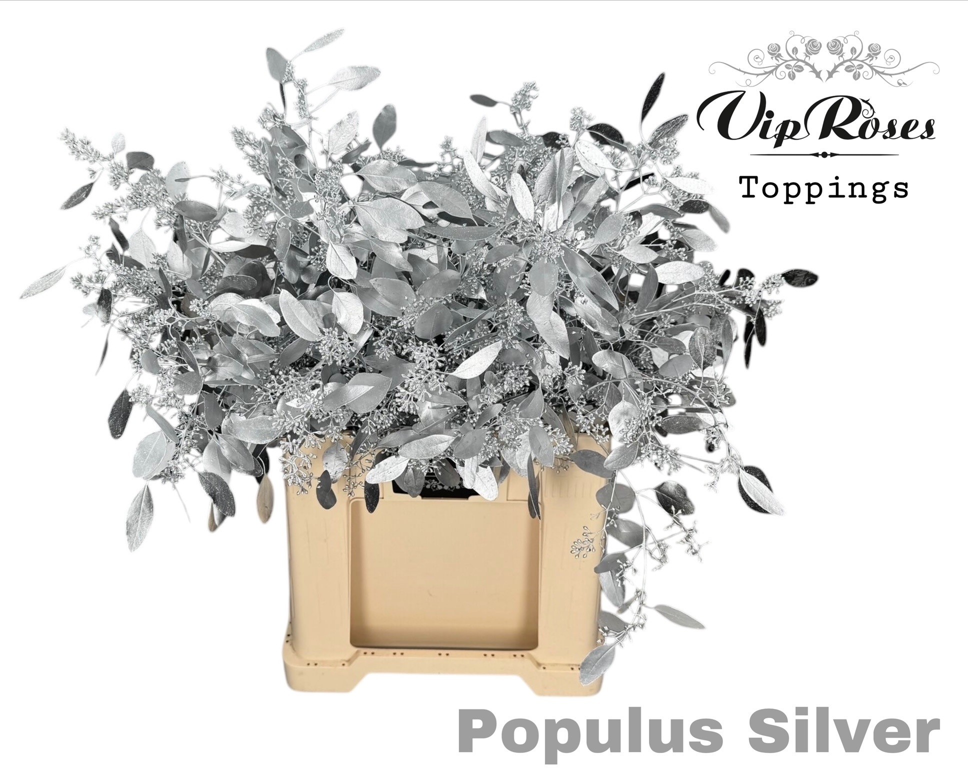 Eucalyptus Painted 60cm 300gram