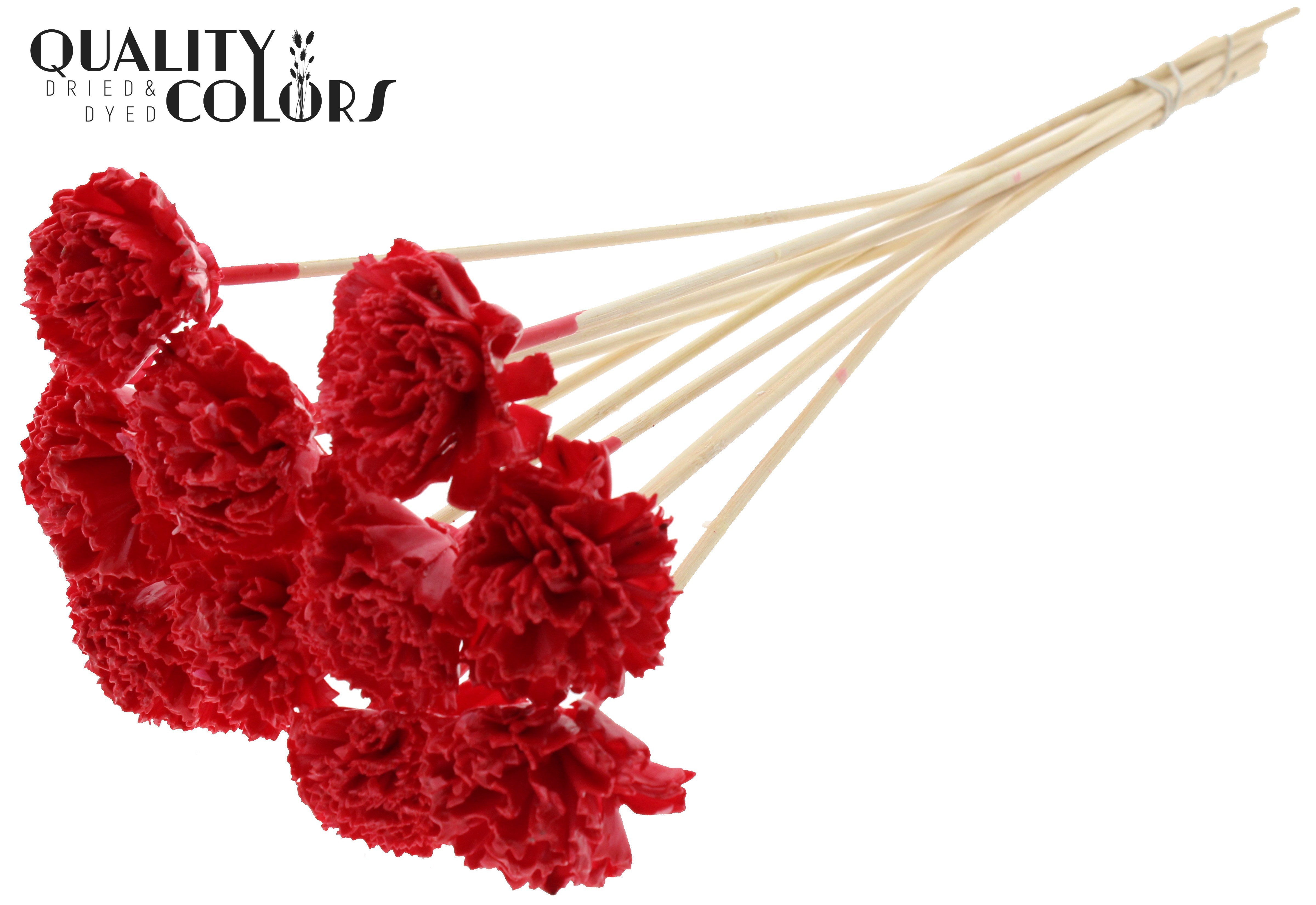 Shola Karnish Flower Wax Red 50cm
