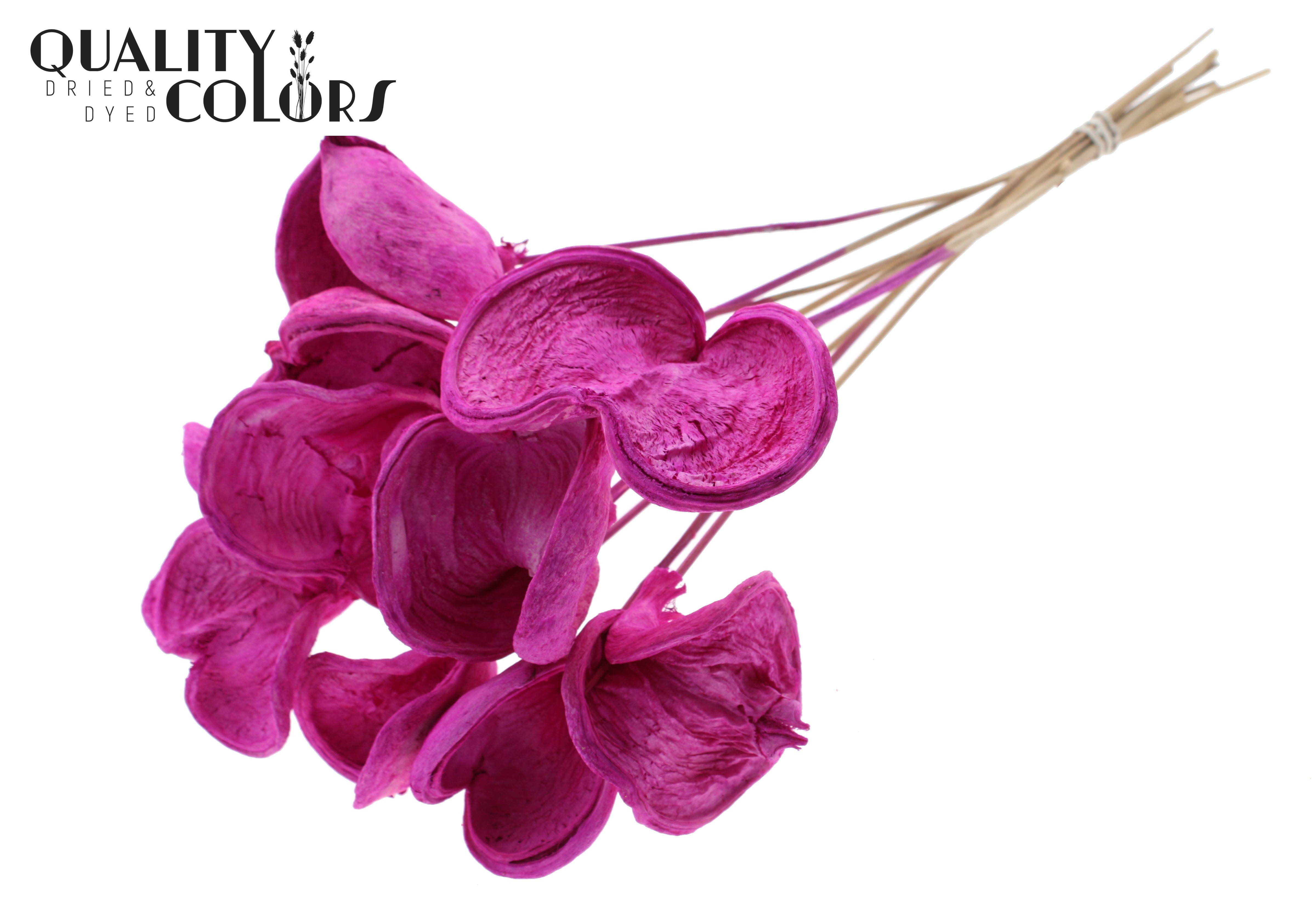 Badam Intense Lilac 50cm