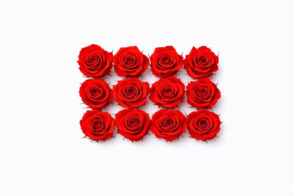 Ro Pres Mini Red Scarlet