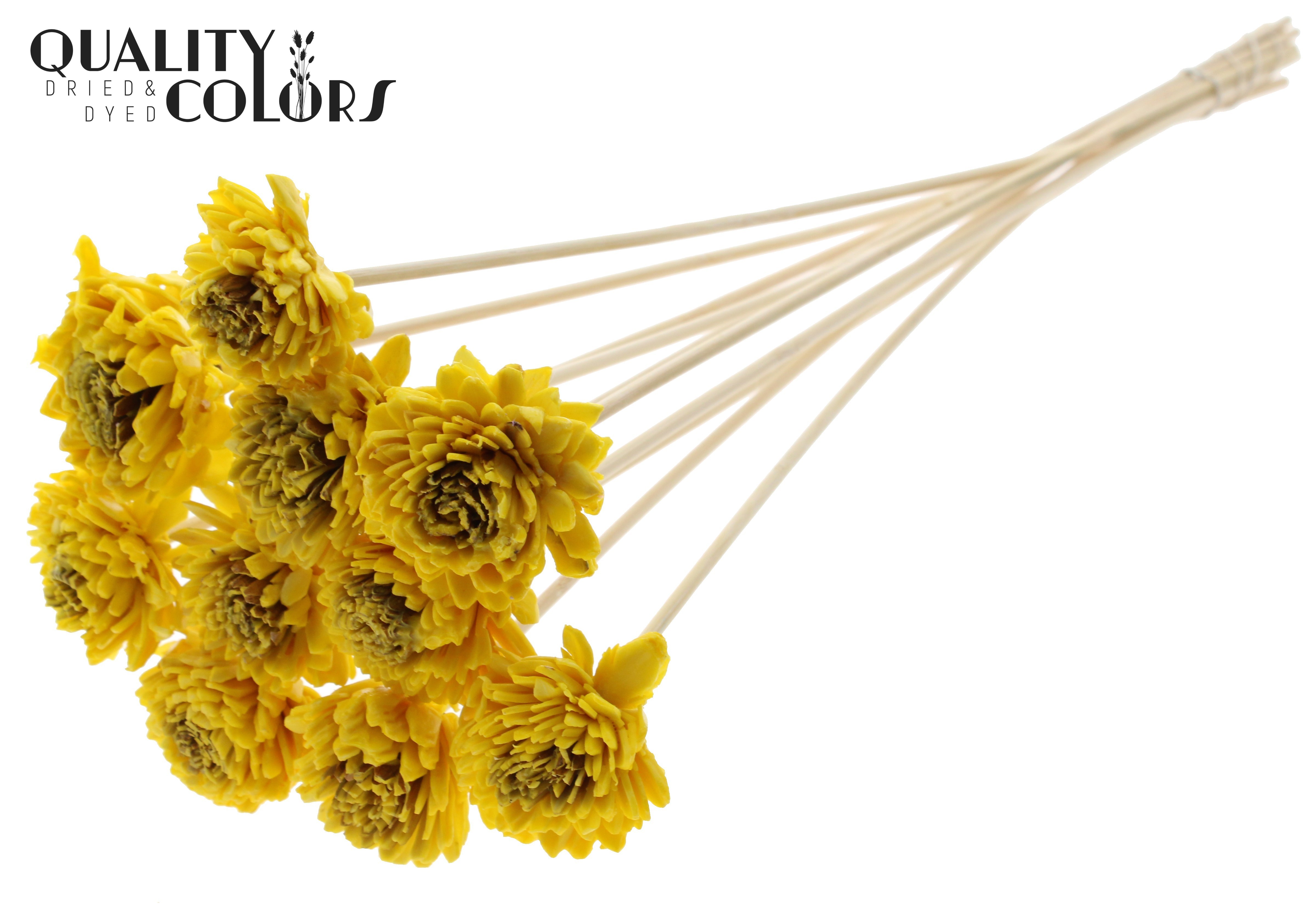 Shola Zinia Wax Yellow 50cm