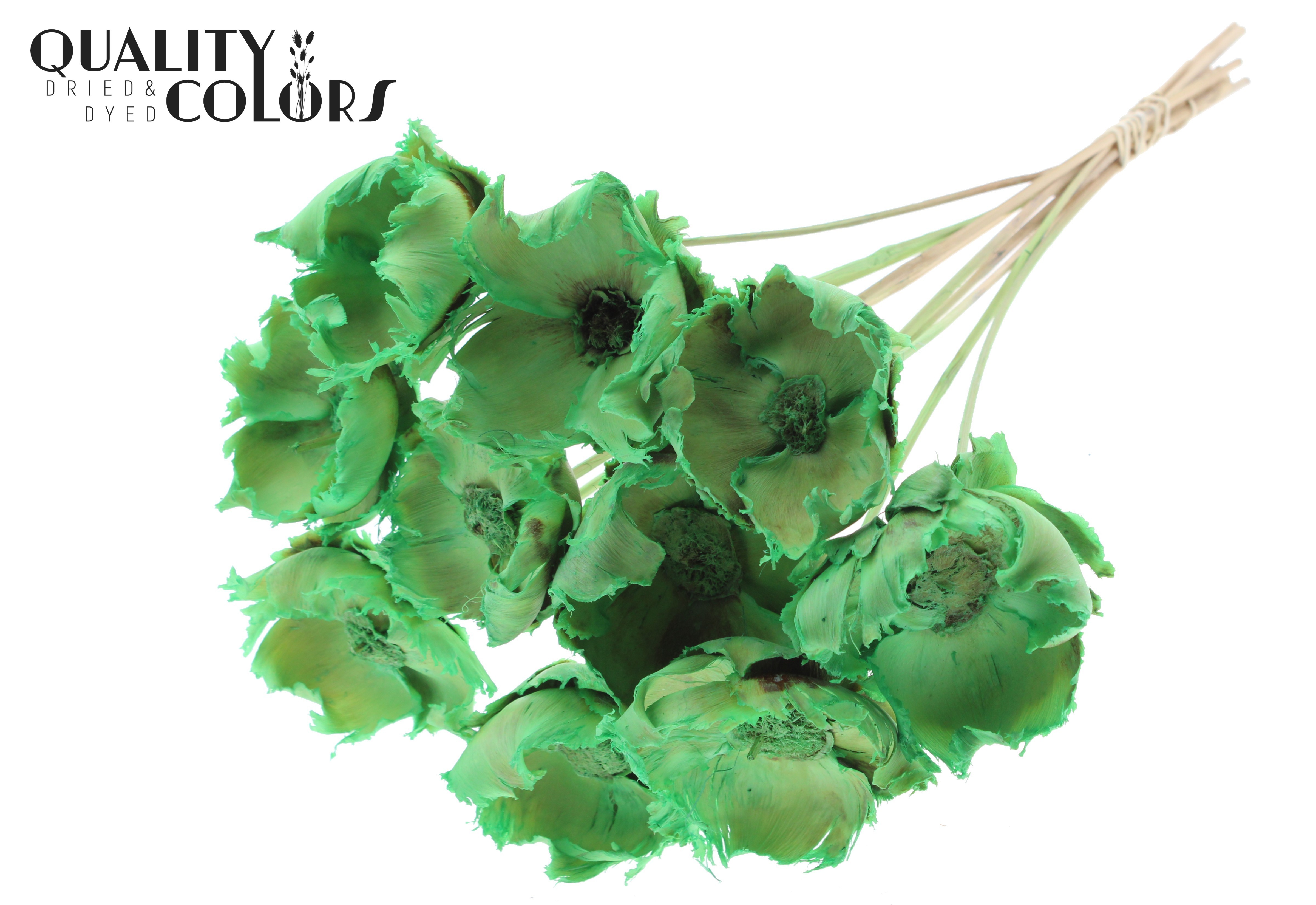 Palm Cup Intense Frosted Mint 50cm