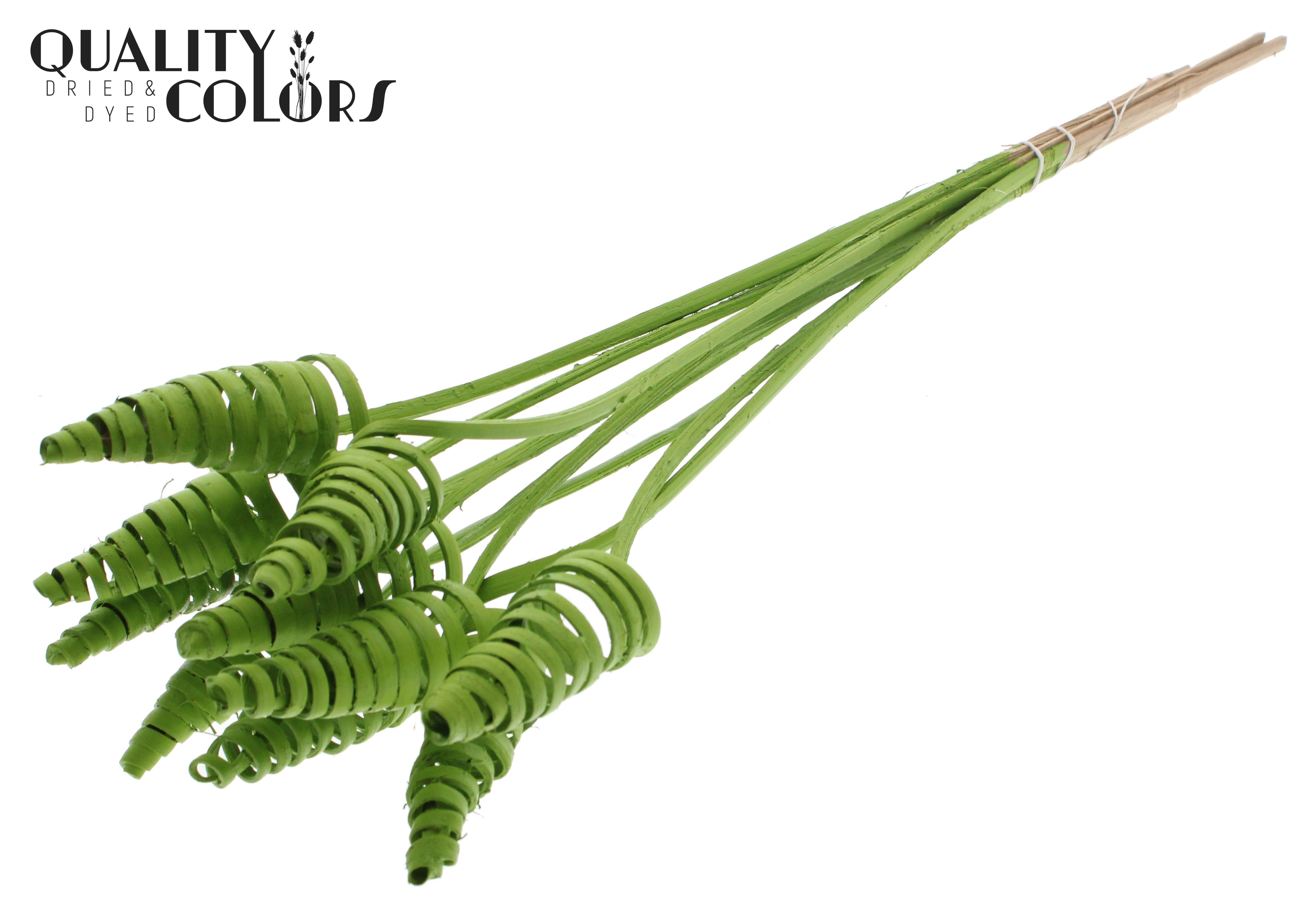 Cane Cone Light Green 50cm