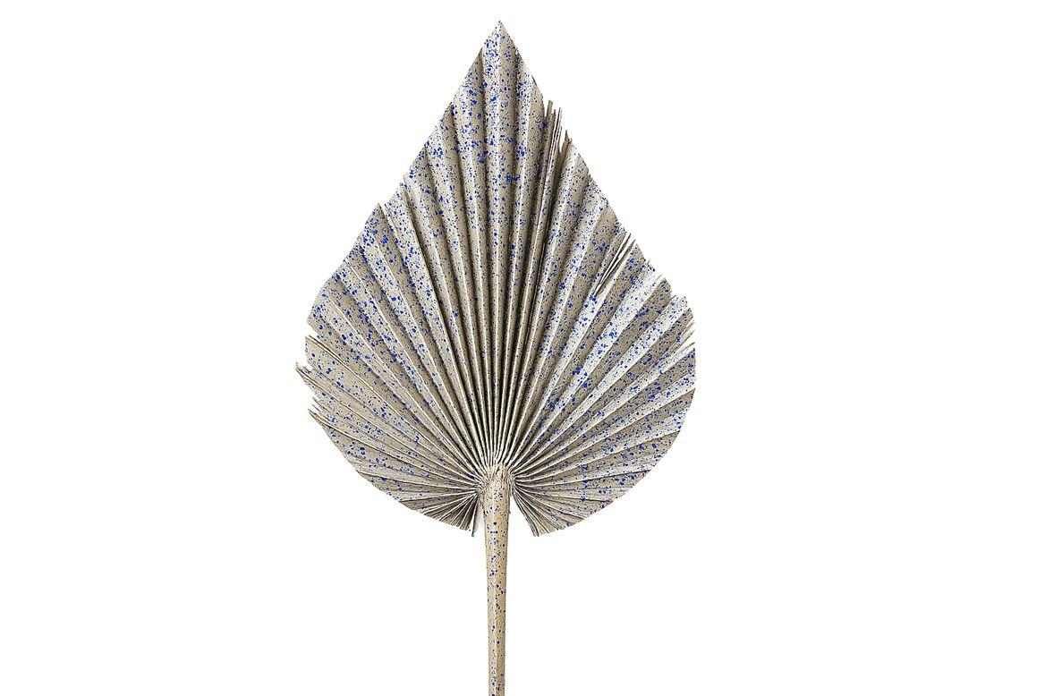 Dried Artz Palm Spear Xl Matisse P Stem