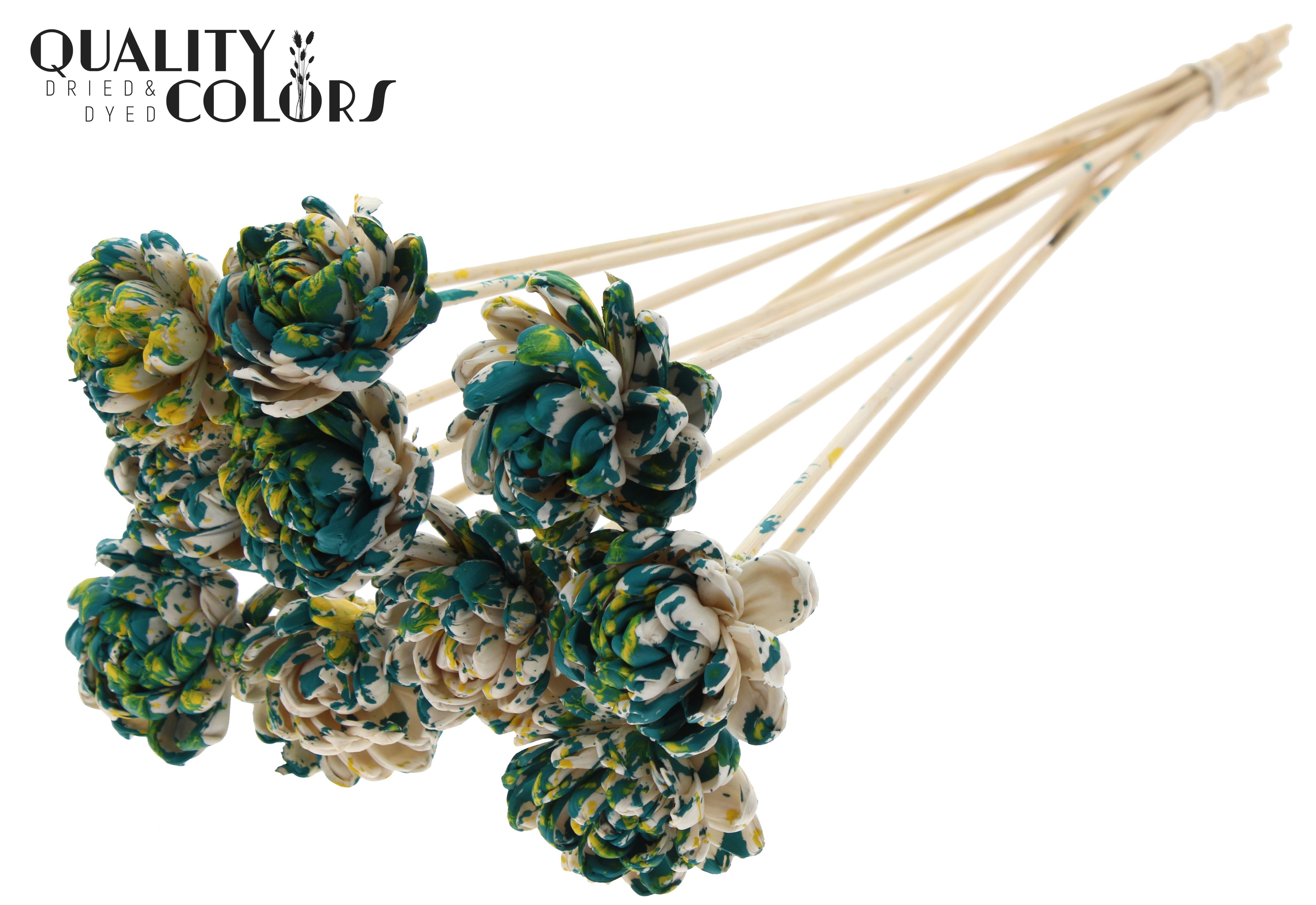 Shola New Beauty Rose Multicolour Green Yellow 50cm