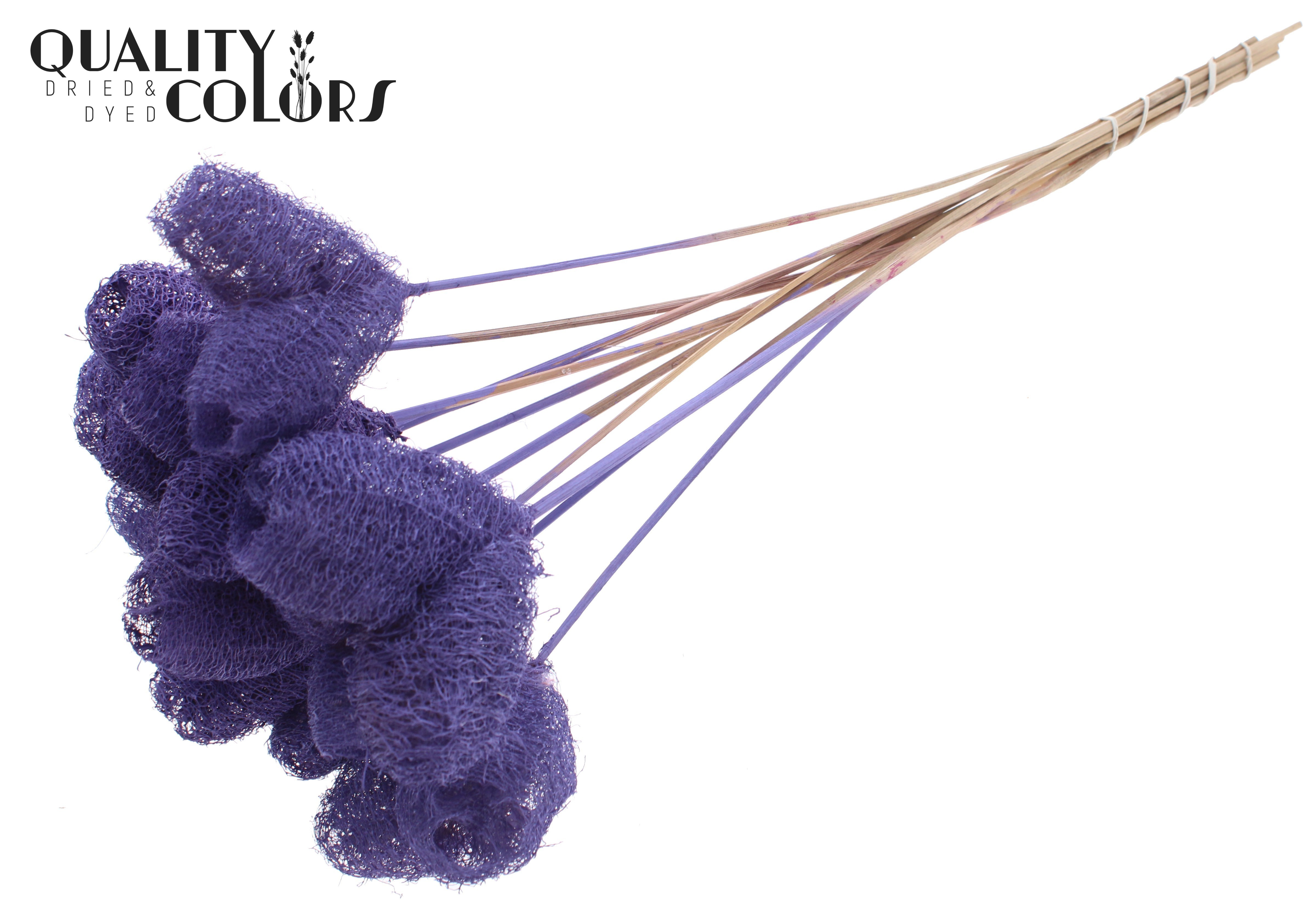 Luffa Heart Milka 50cm