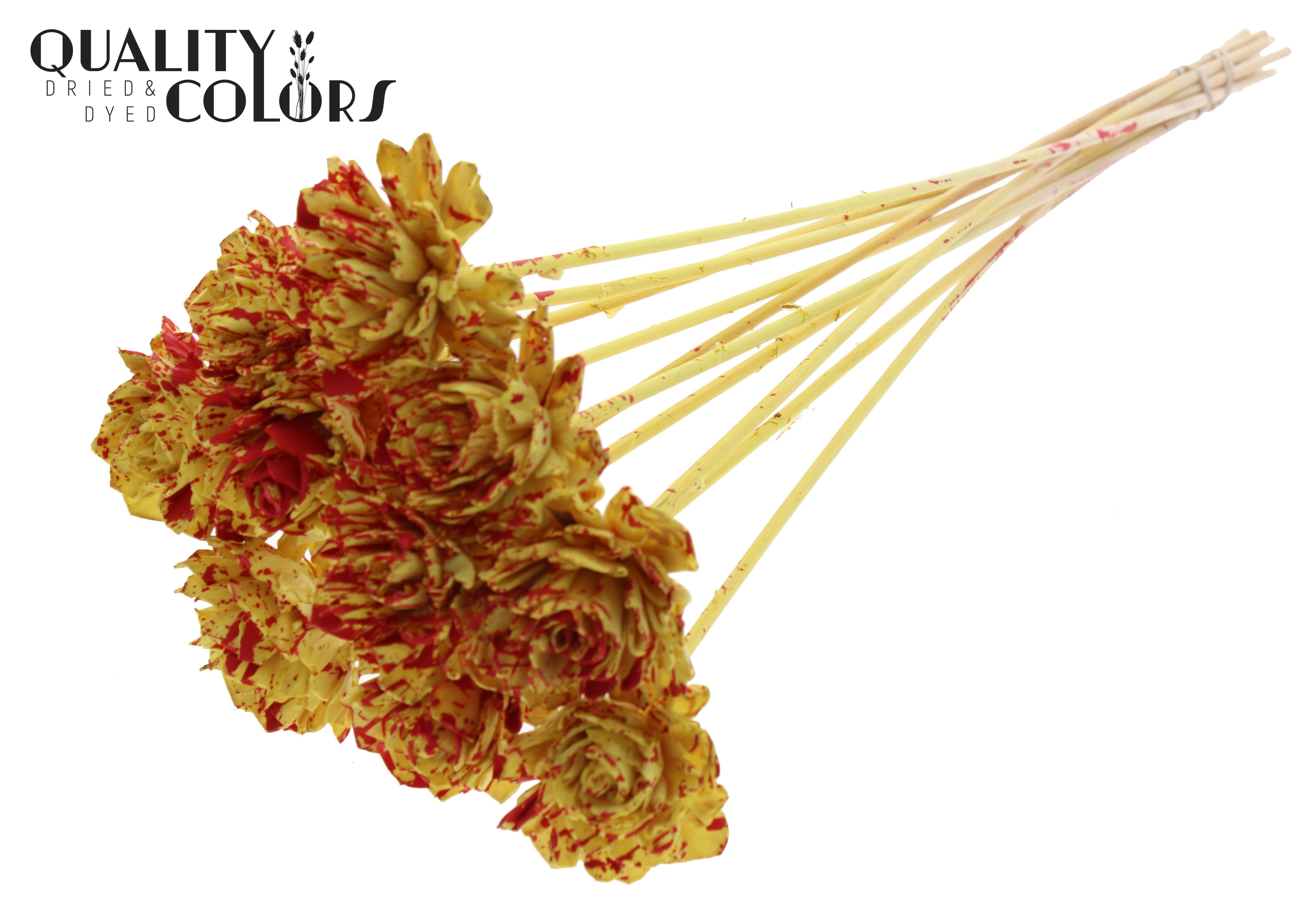 Shola Dhaliya Splashed Yellow Red 50cm