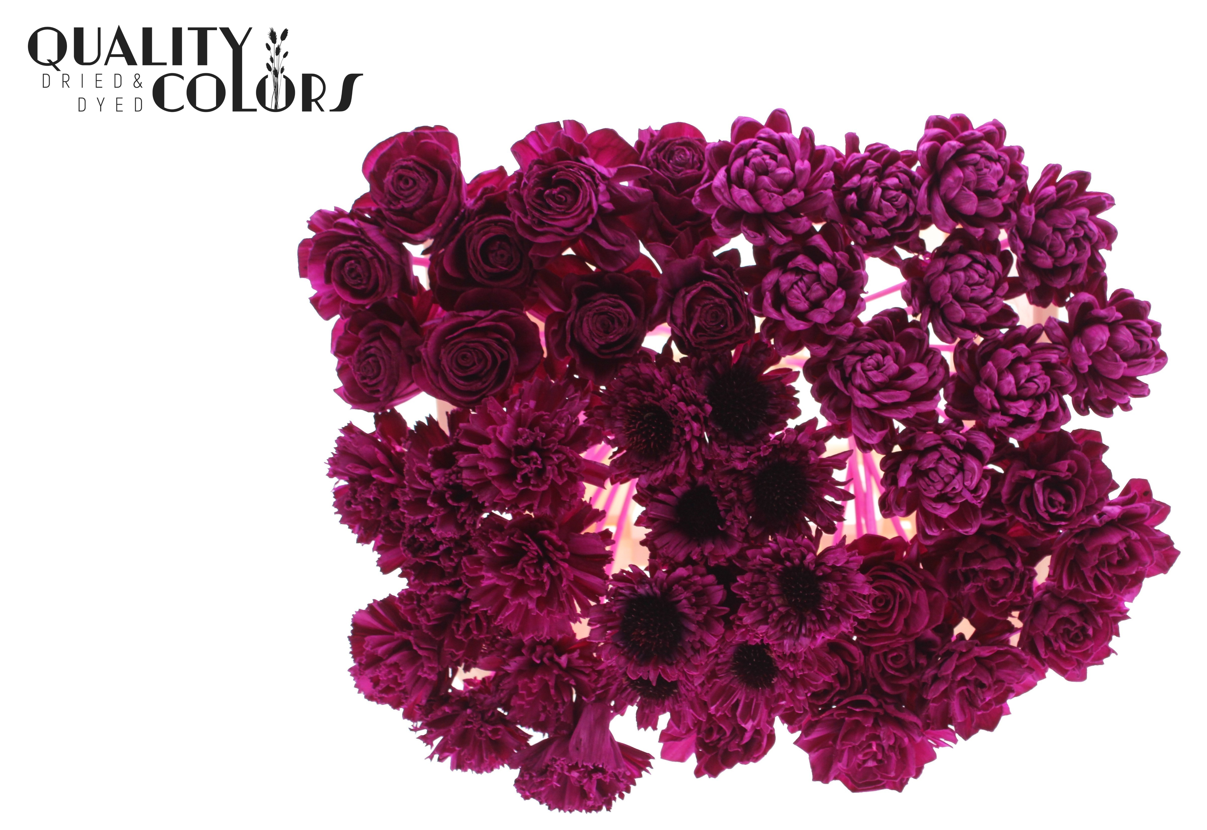 Shola Mix Lilac 50cm