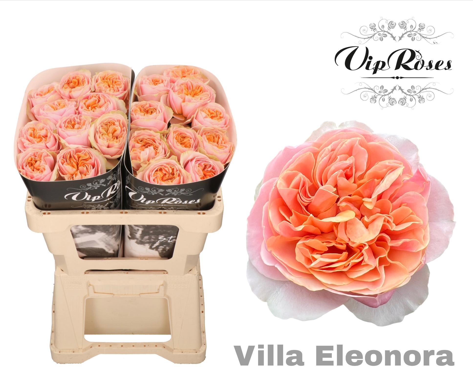 R Gr Villa Eleonora