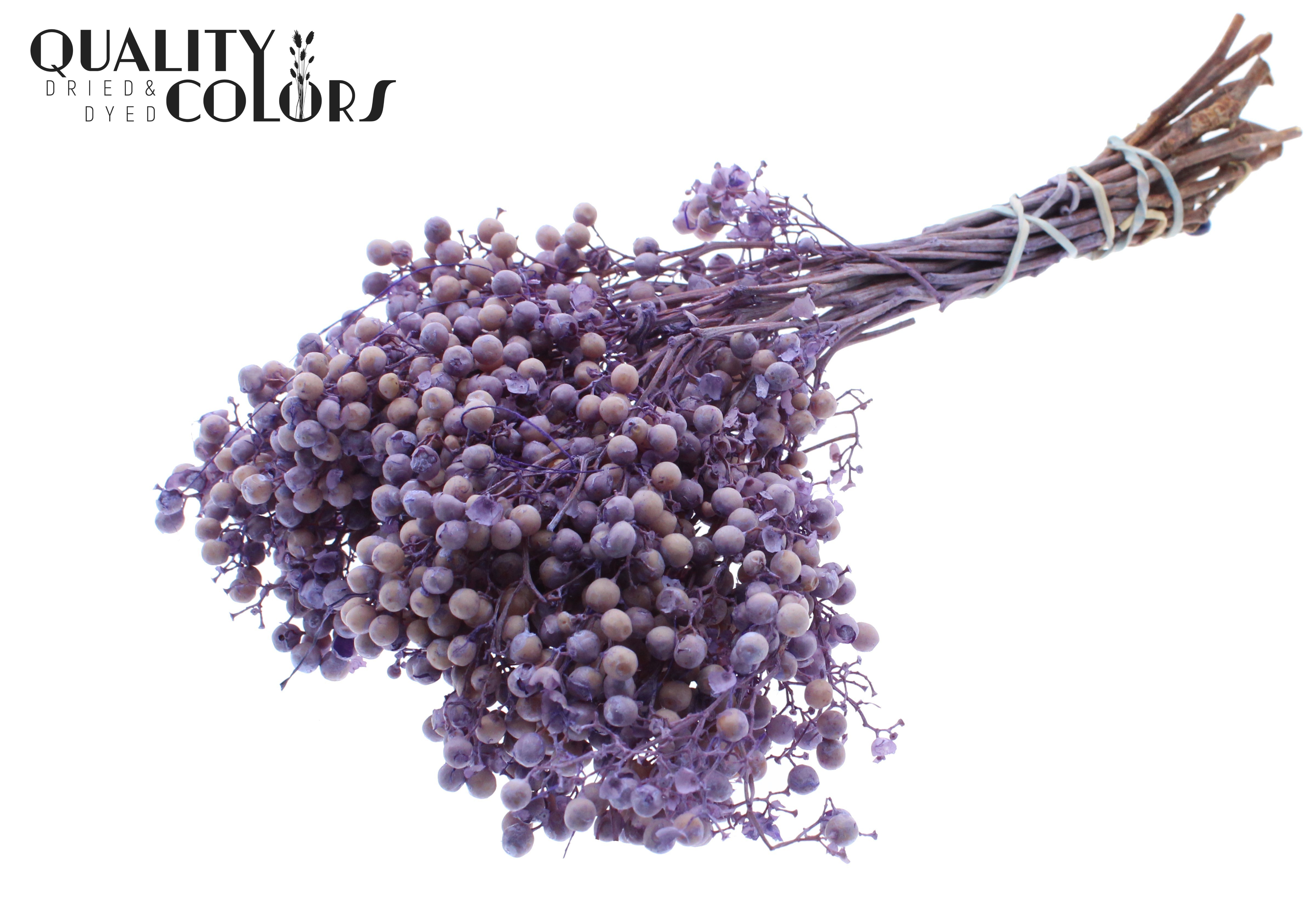 Schinus Mollis Frosted Milka Per Bunch
