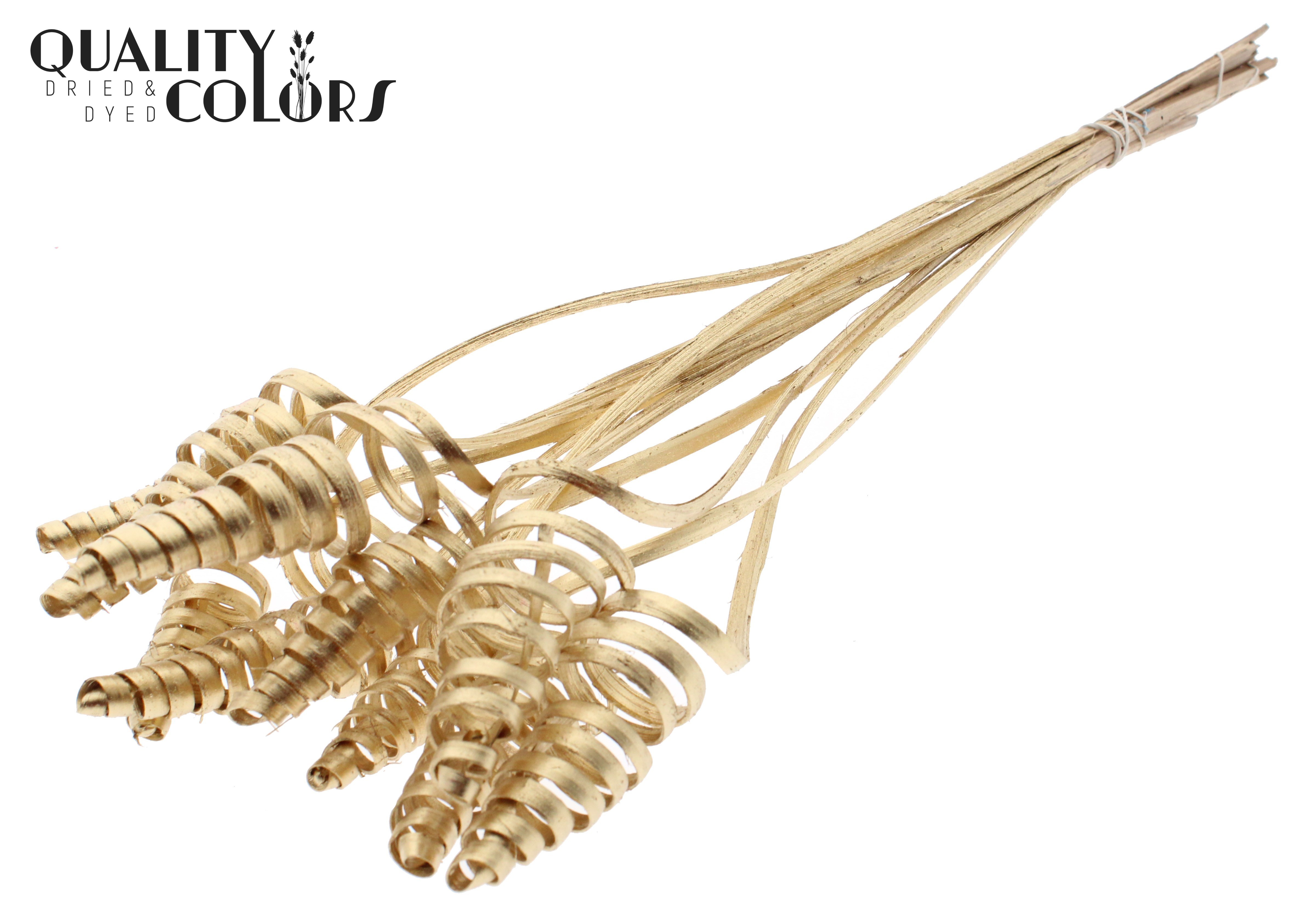 Cane Cone Antique Gold 50cm