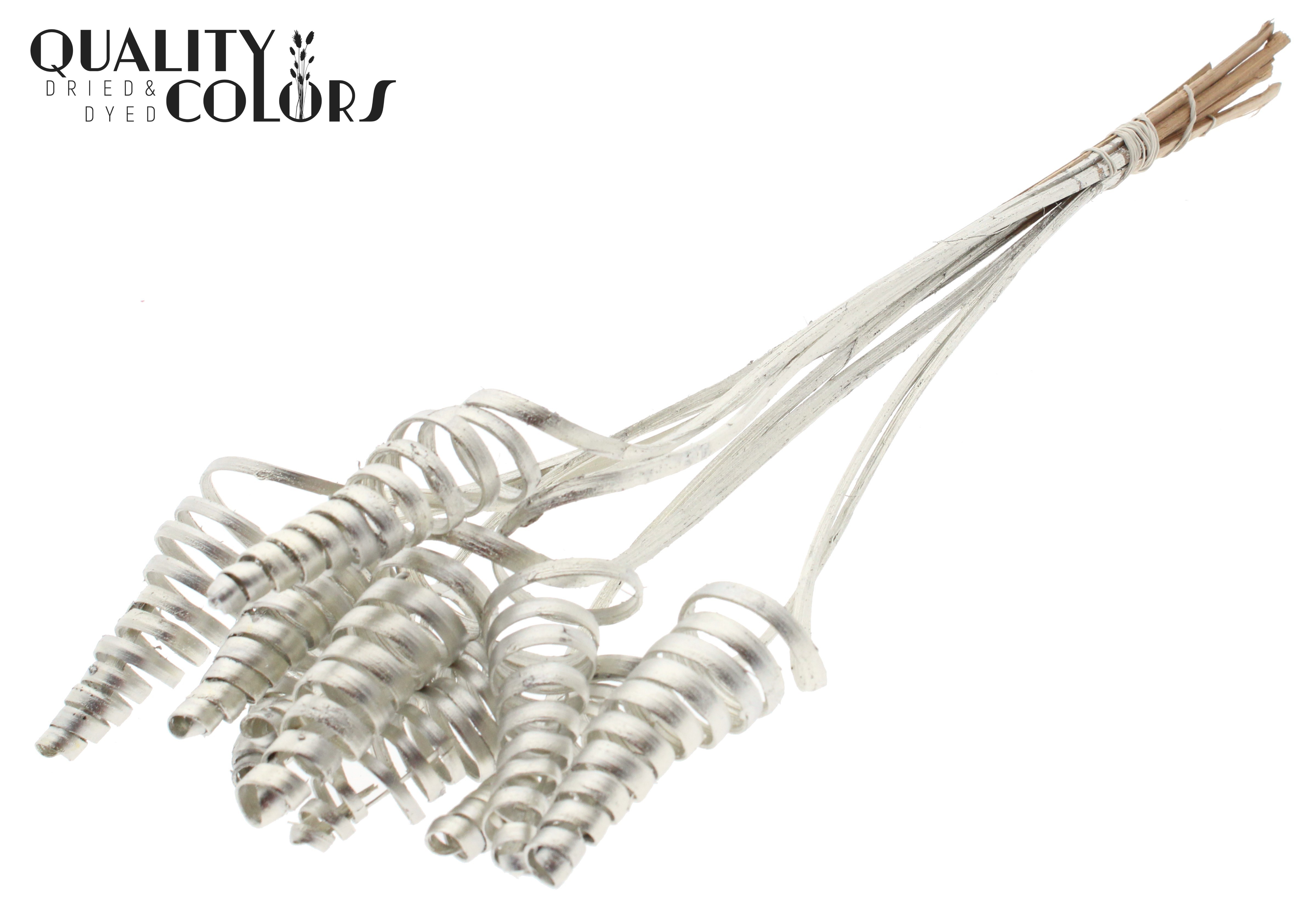 Cane Cone Platinum 50cm