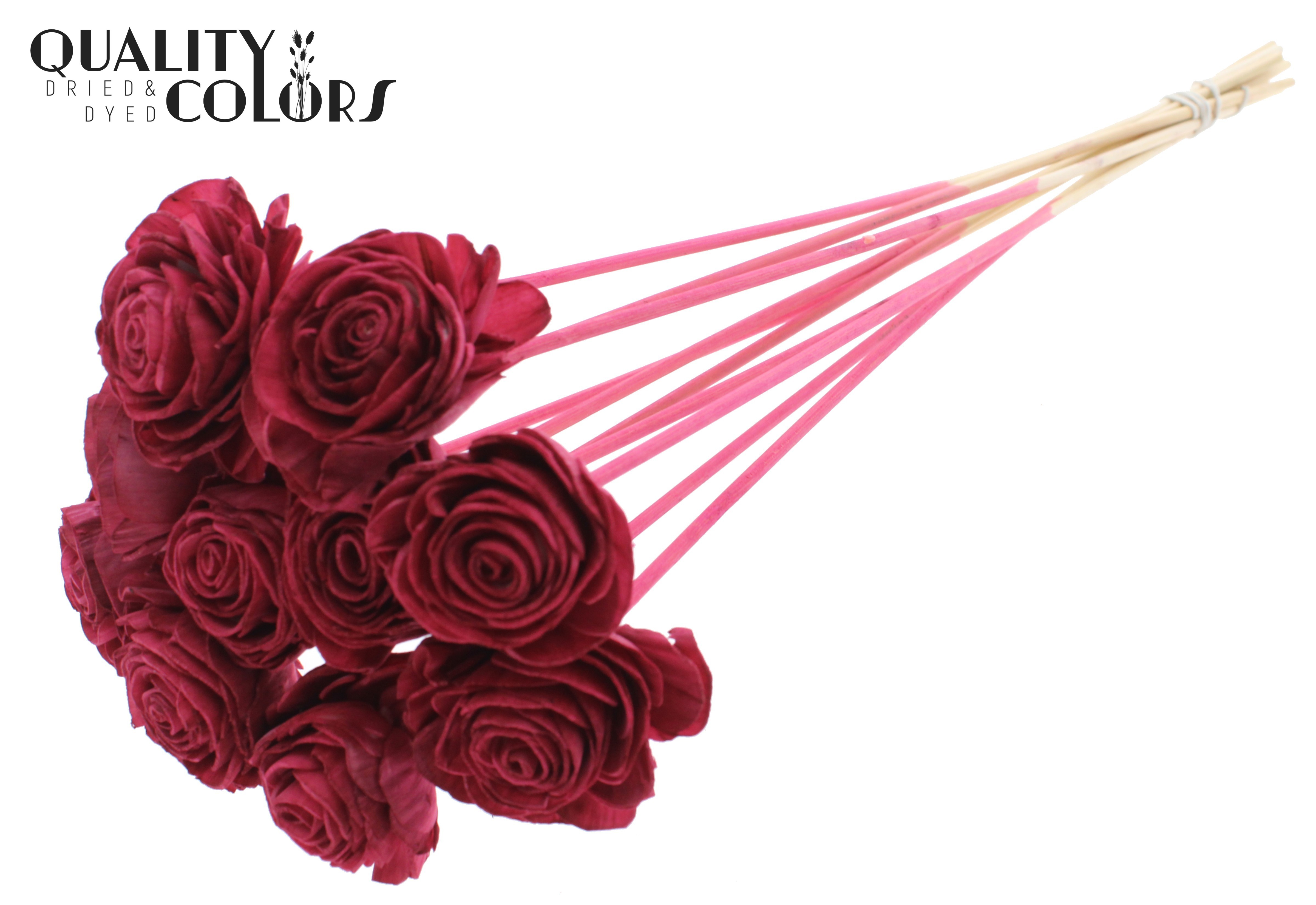 Shola Beauty Rose Burgundy 50cm
