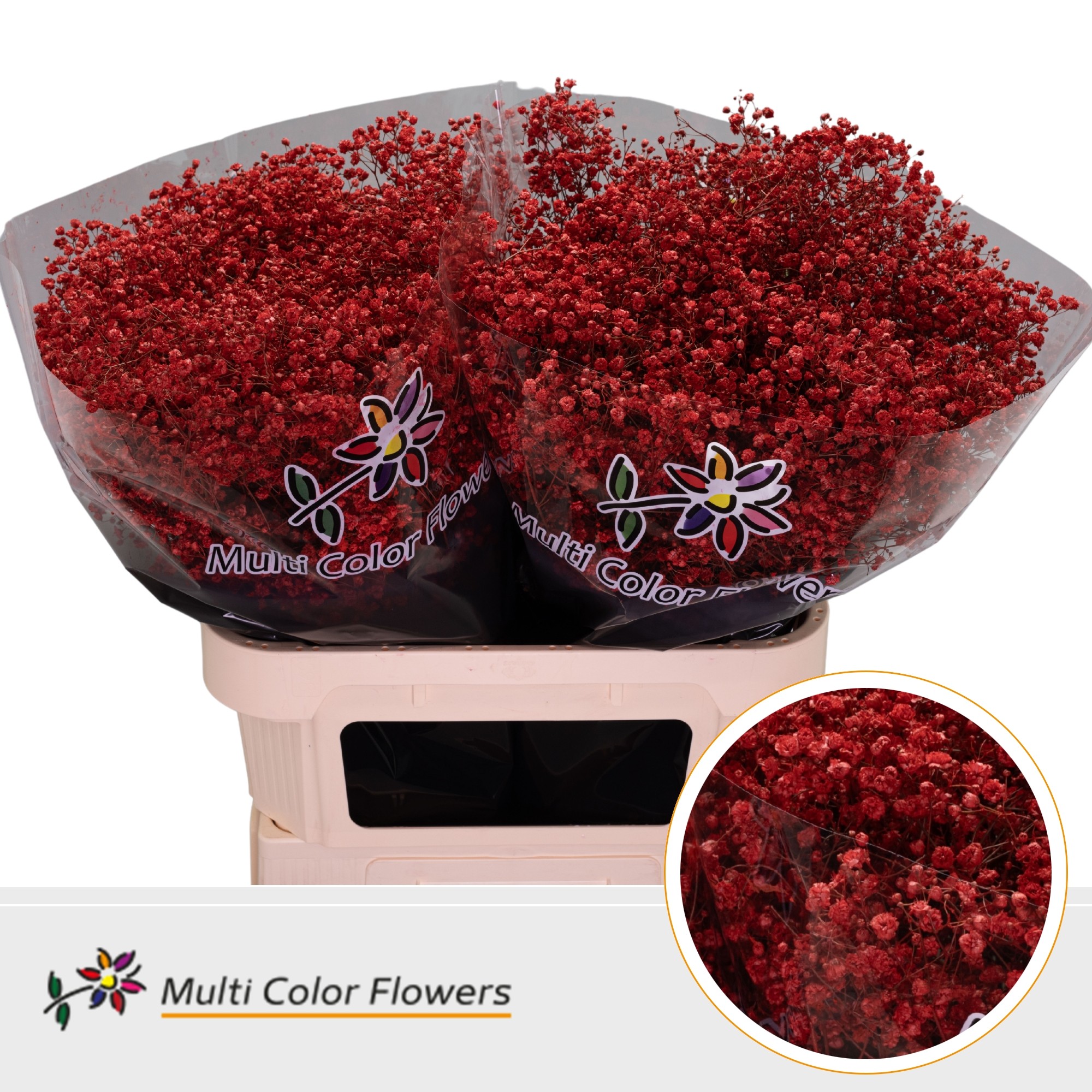 Gypsophila Painted Xlence Red 80cm