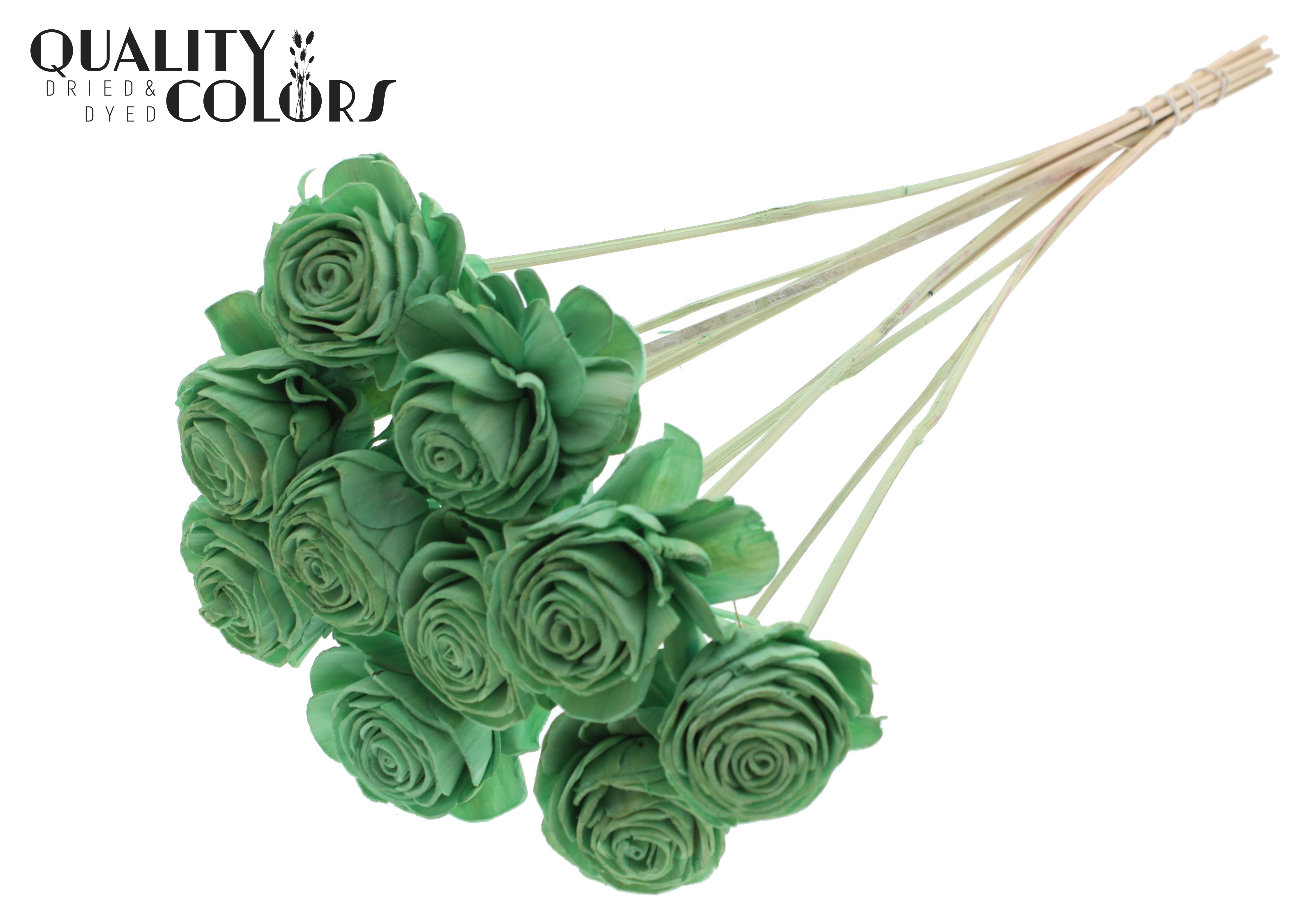 Shola Beauty Rose Mint Green 50cm