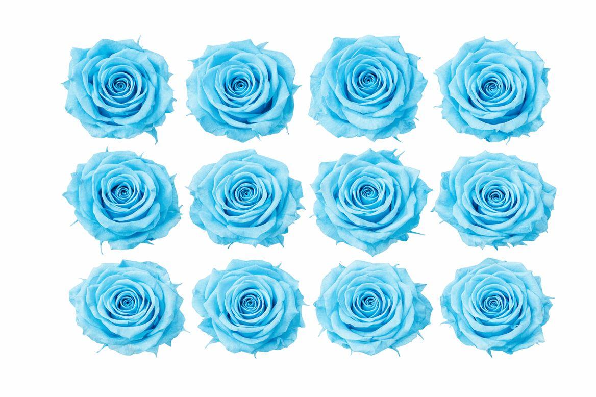 Ro Pres Mini Cyan