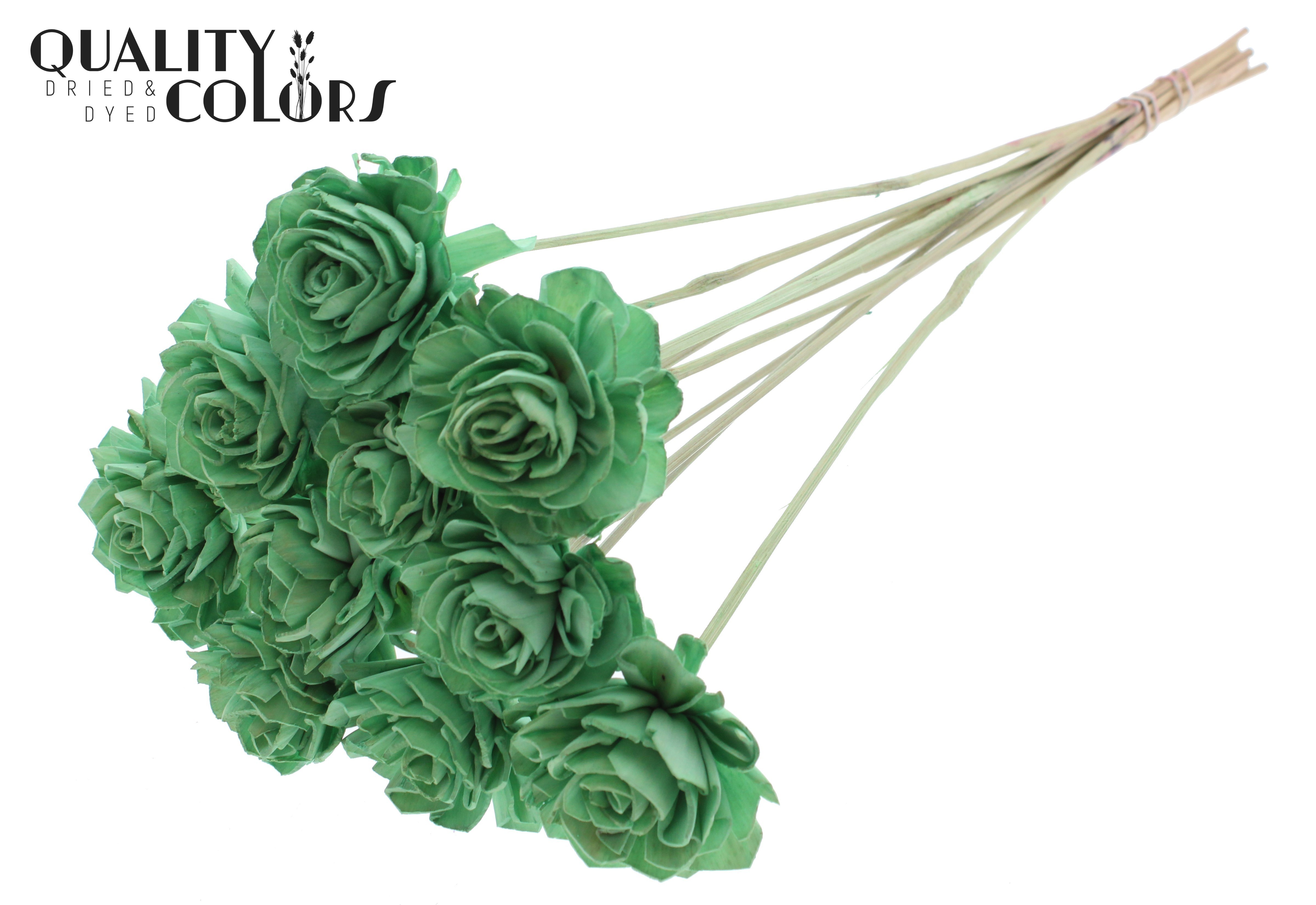 Shola Dhaliya Mint Green 50cm
