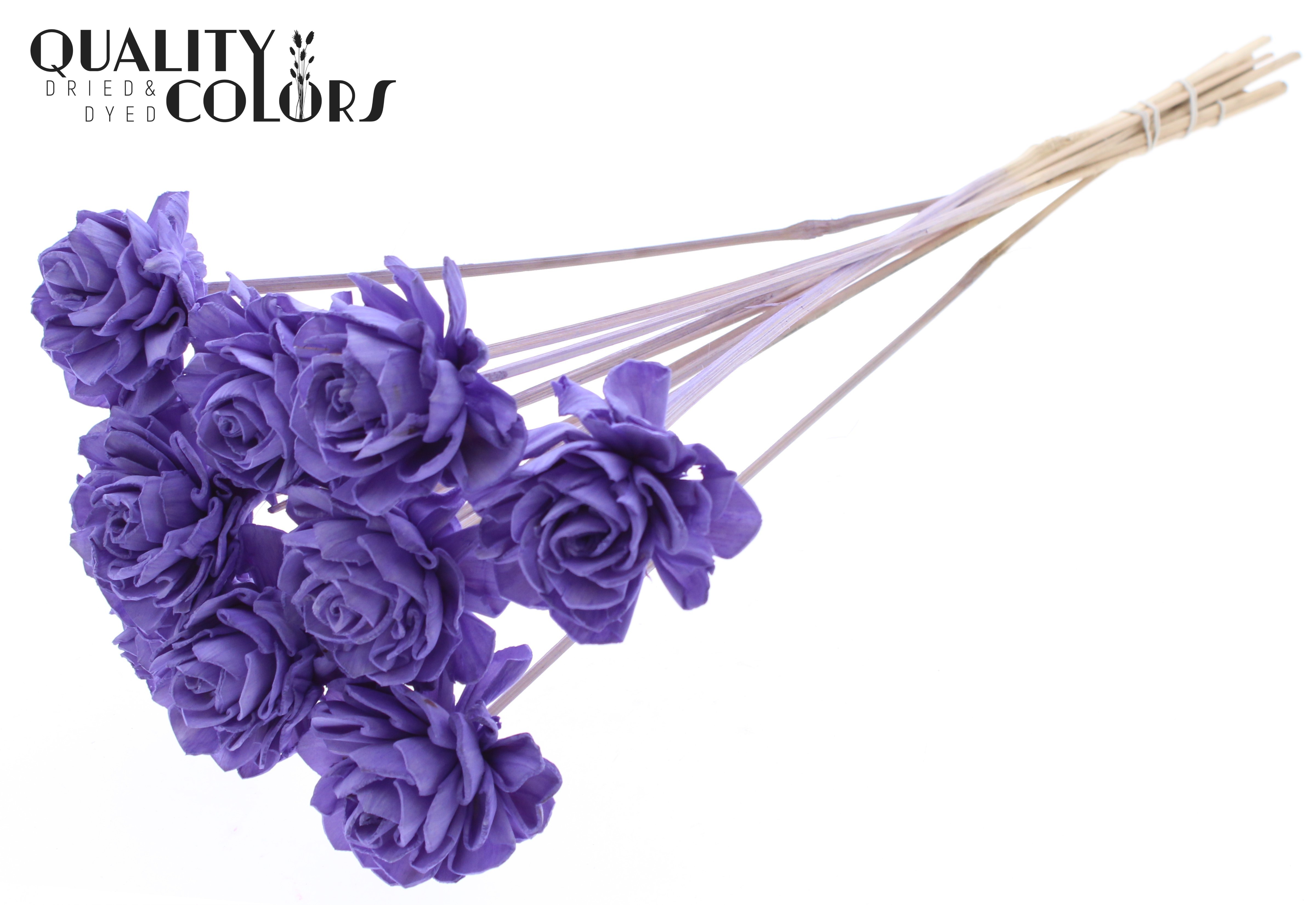 Shola Dhaliya Milka 50cm