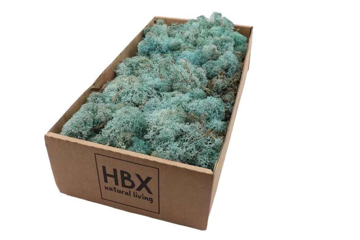 Moss Reindeer Moss 500gr Ice Blue