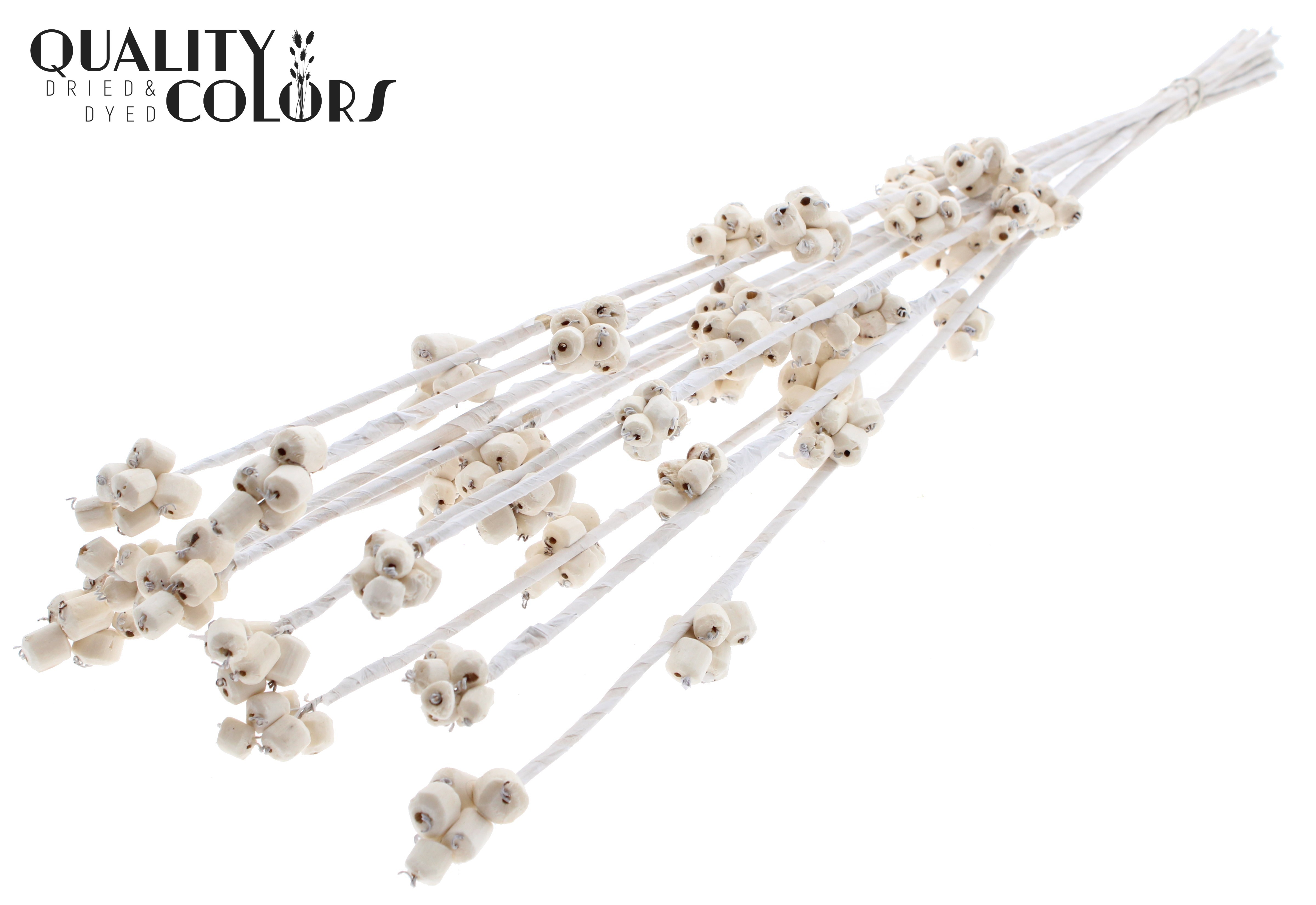 Shola Berries Stick Natural 75cm