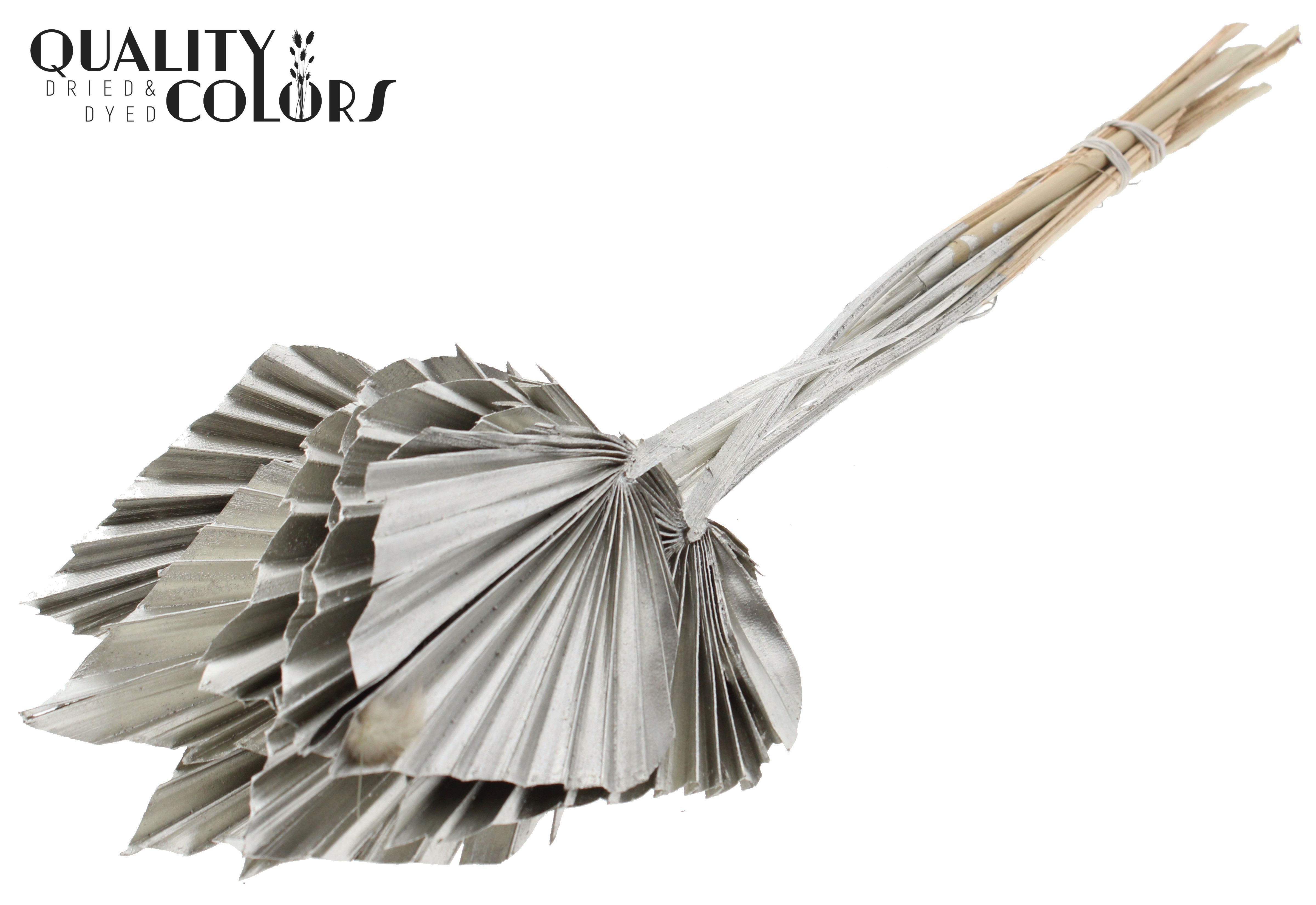 Palm Sun Platinum 50cm