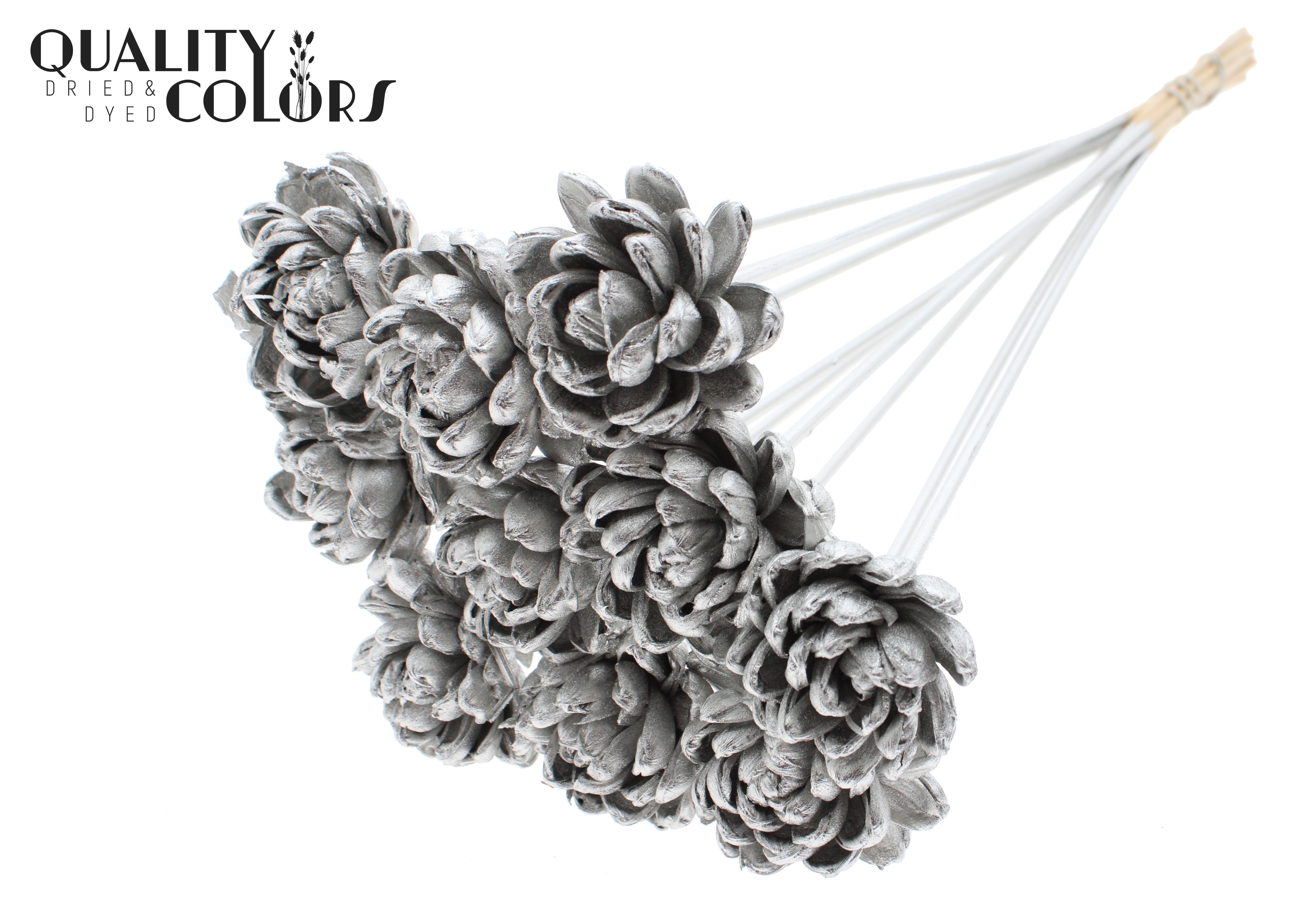 Shola Beauty Rose Platinum 50cm
