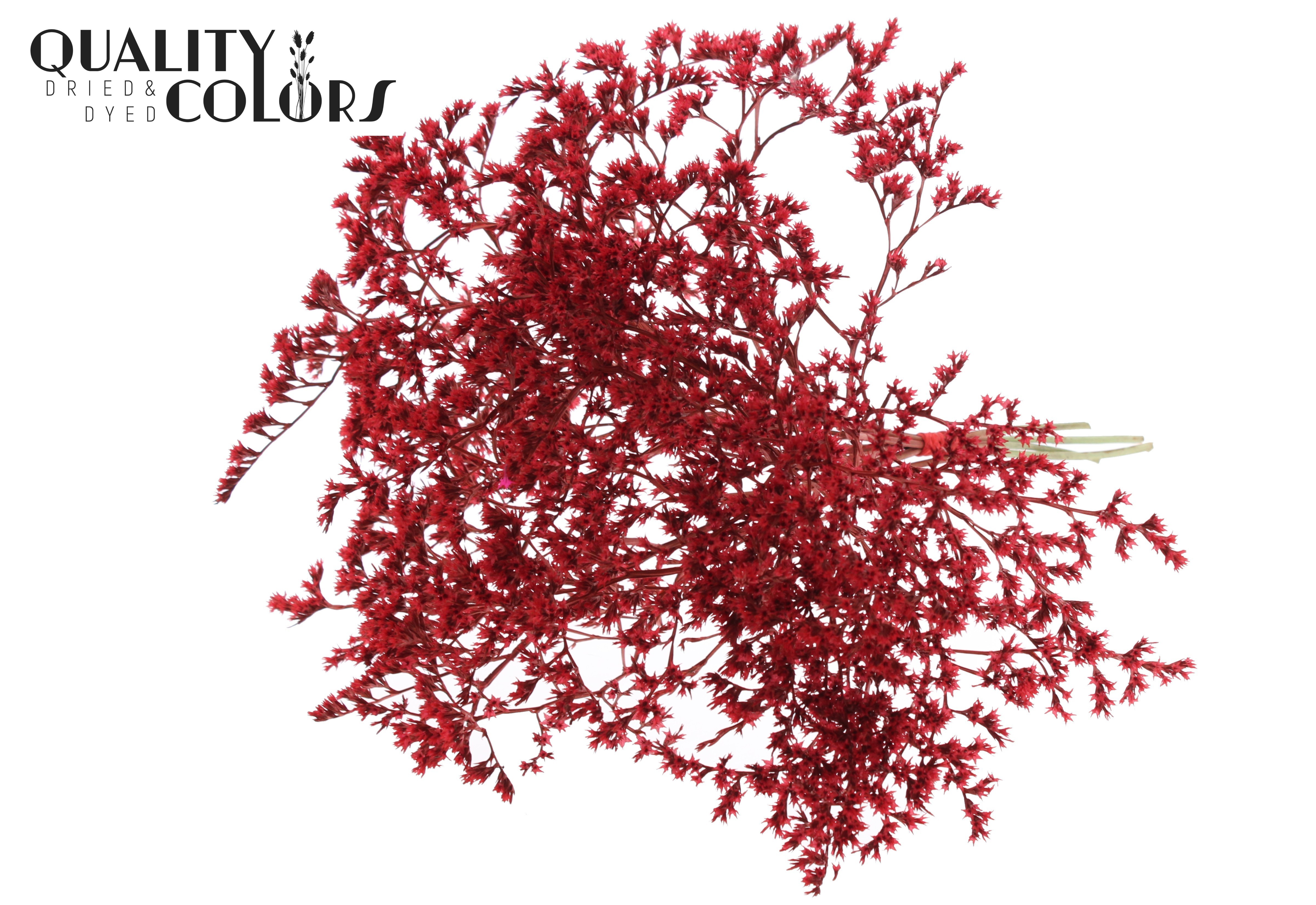 Limonium Tataricum Red Per Bunch 30cm 45gr.