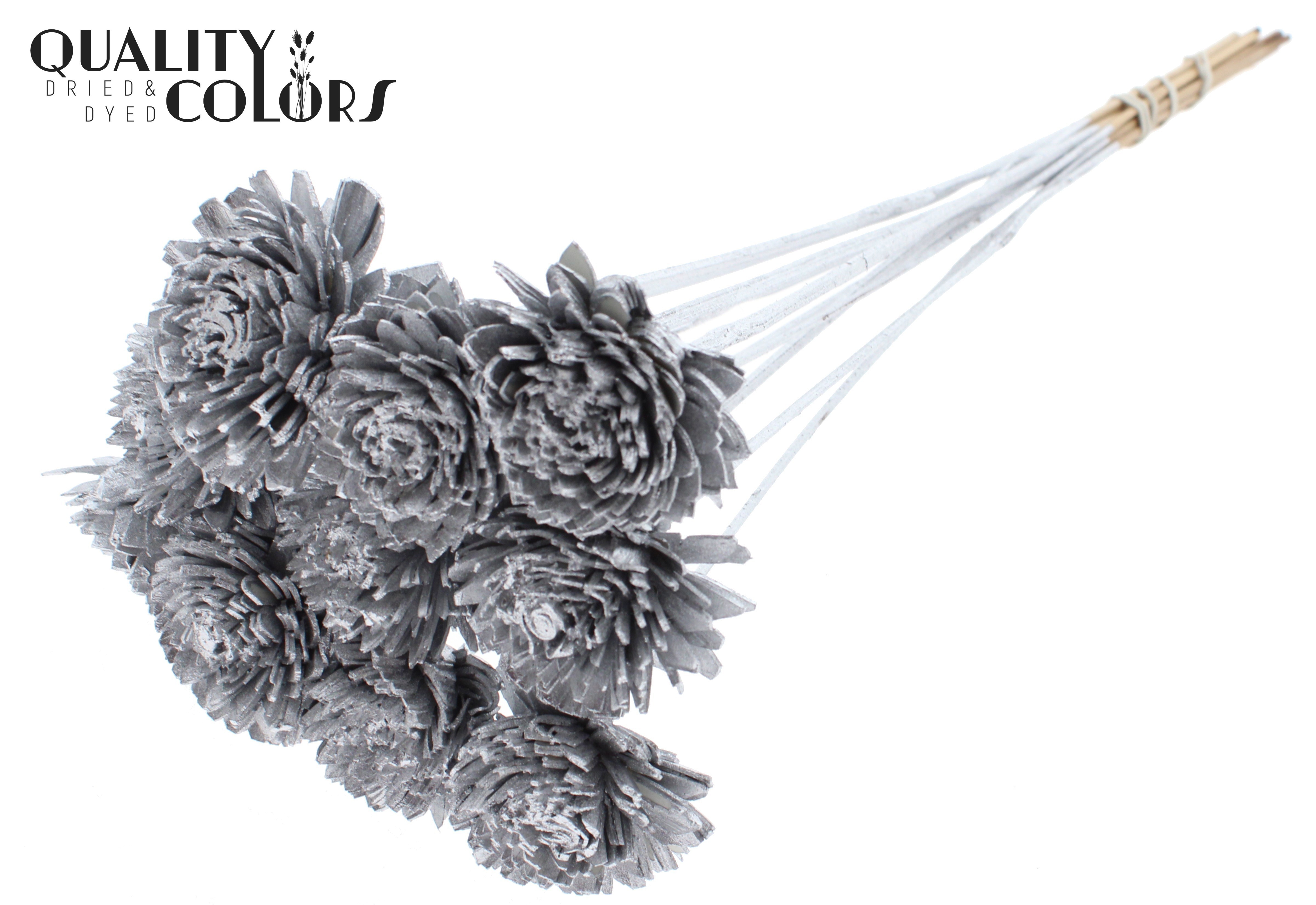 Shola Zinia Silver 50cm