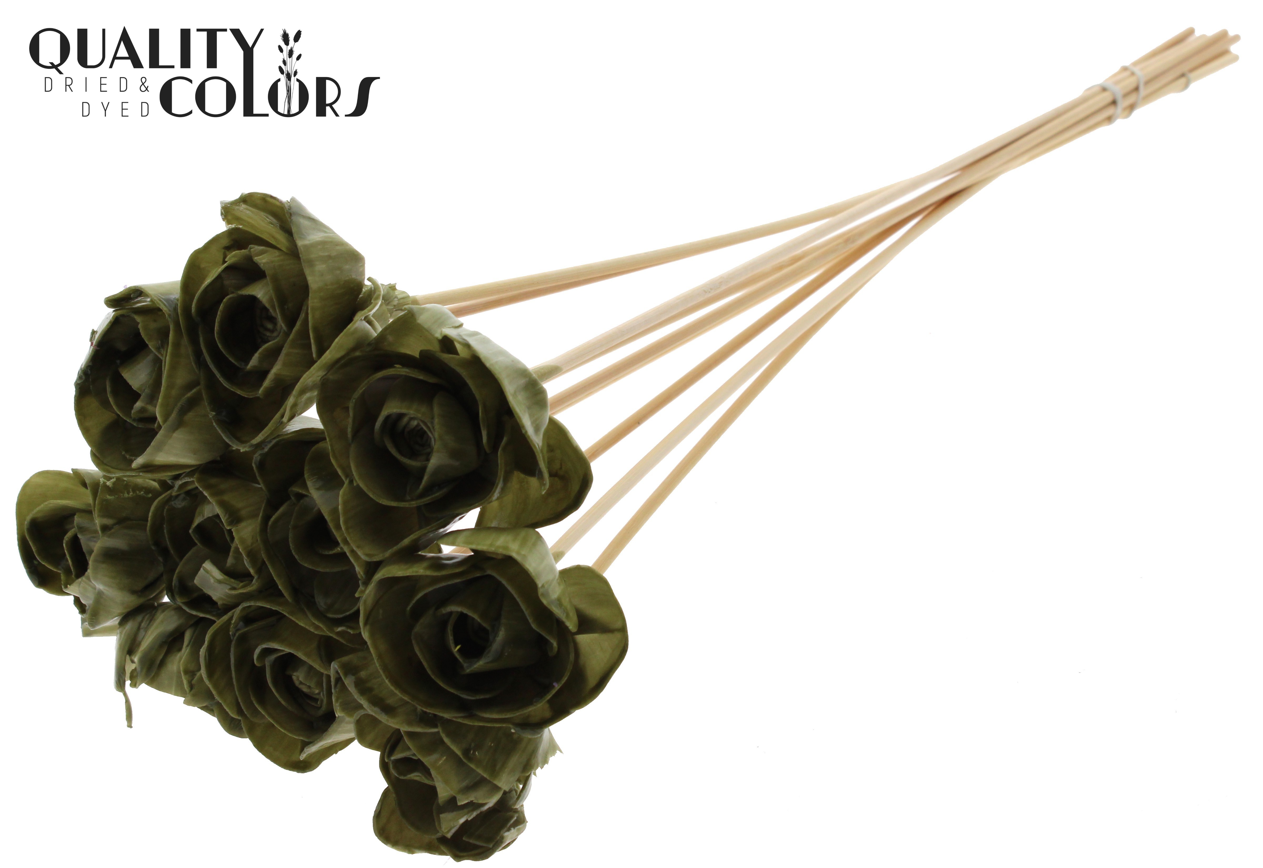 Shola Dear Holly Wax Olive 50cm