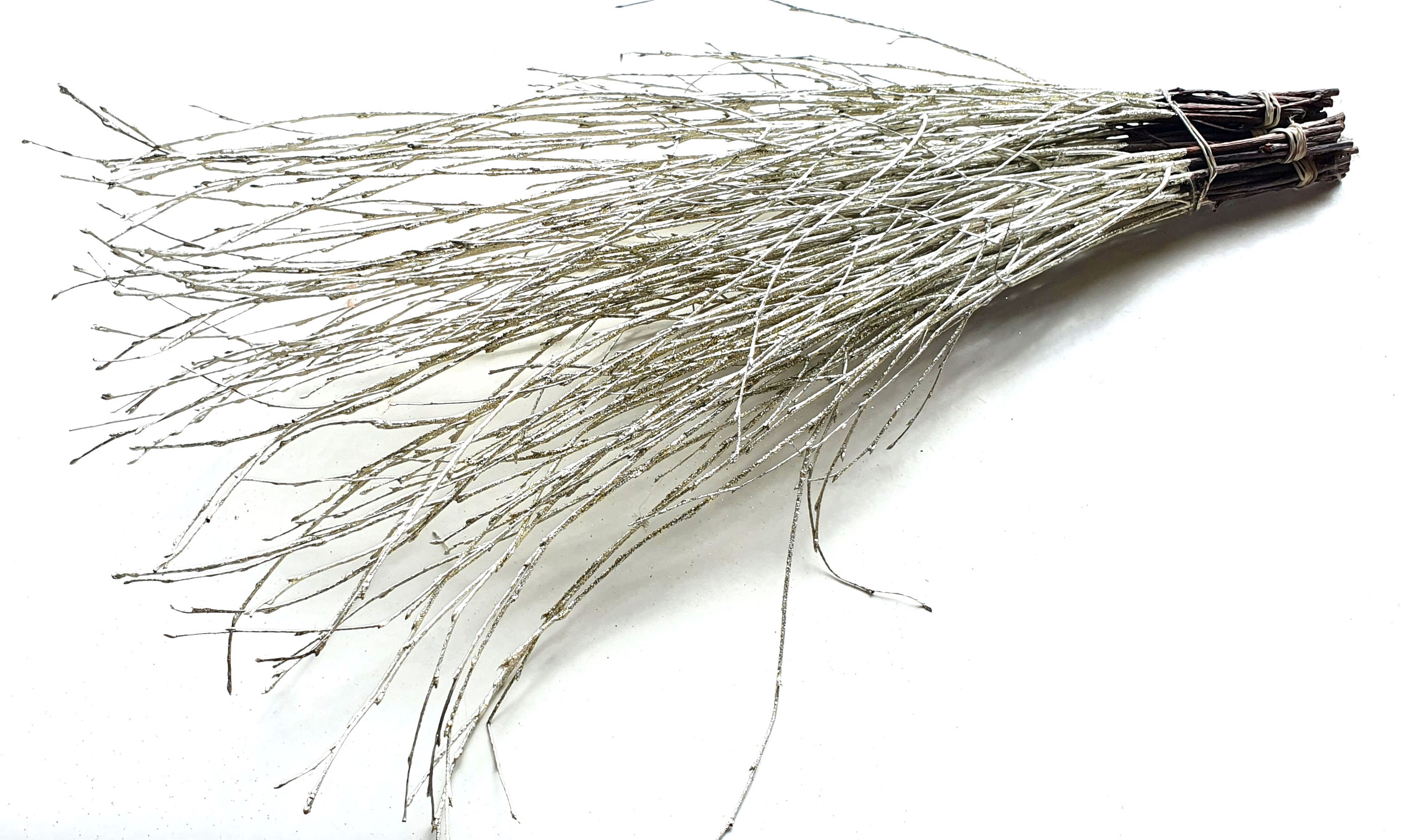 Betula Platinum + Glitter Per Bunch