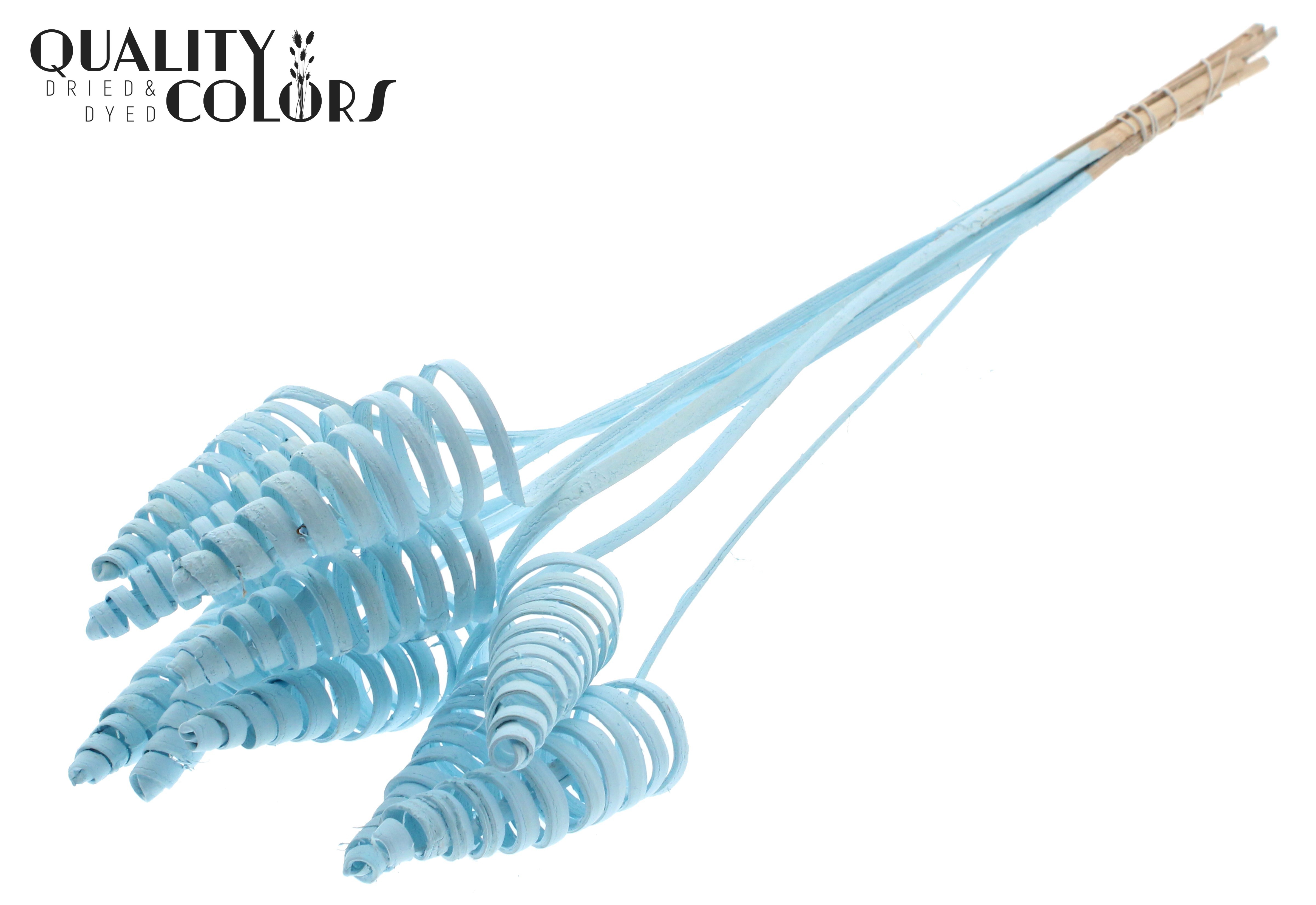 Cane Cone Light Blue 50cm