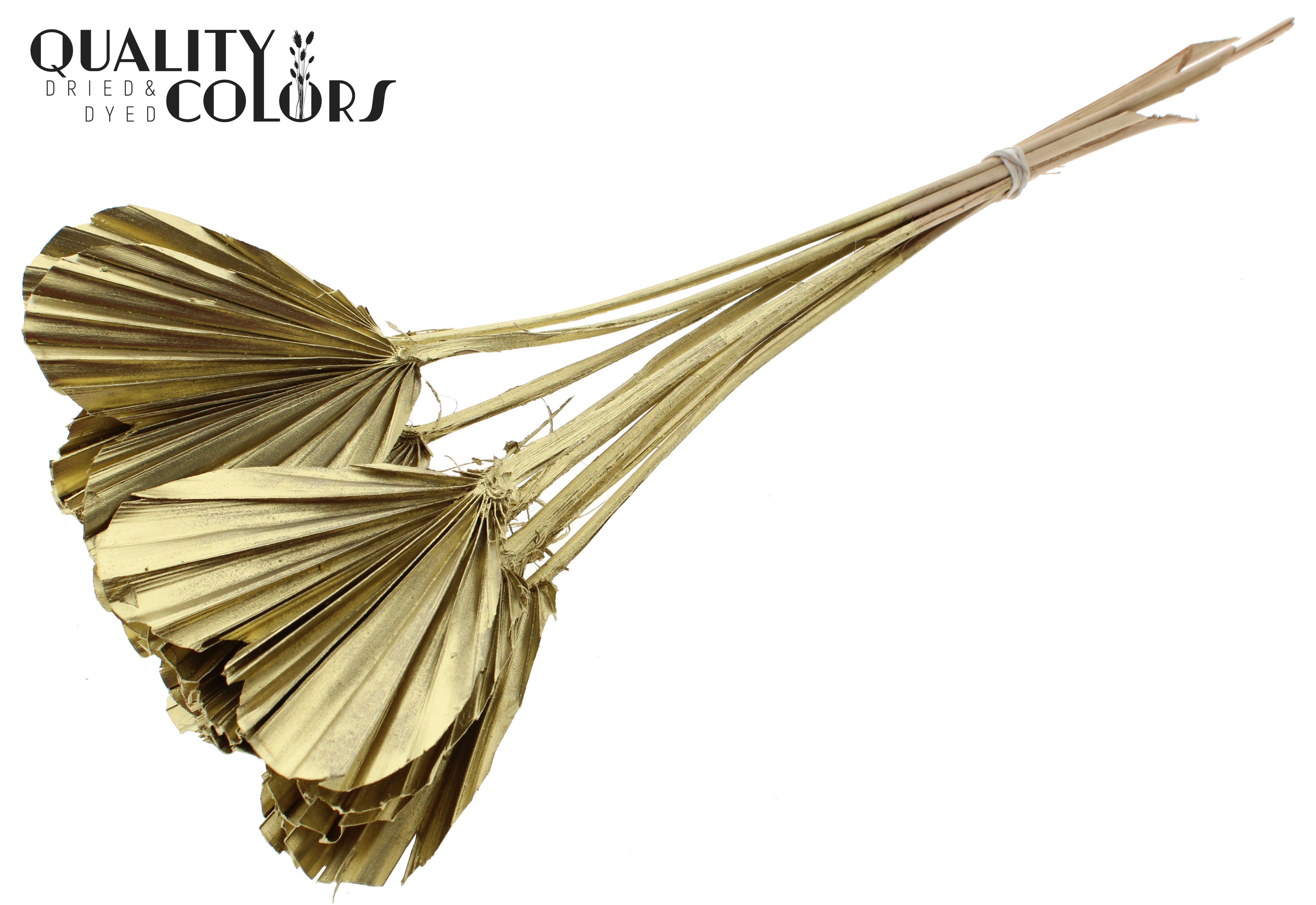 Palm Spear Heart Gold 45cm